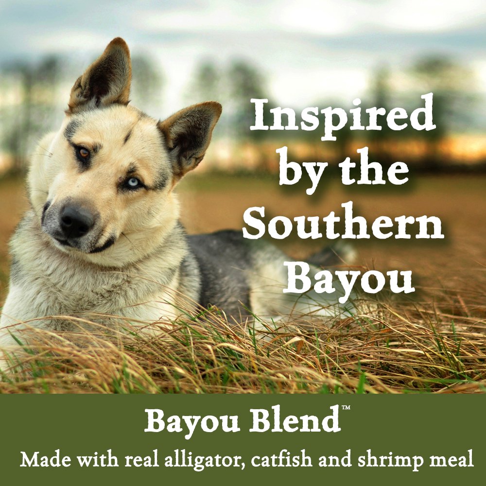 blue wilderness alligator