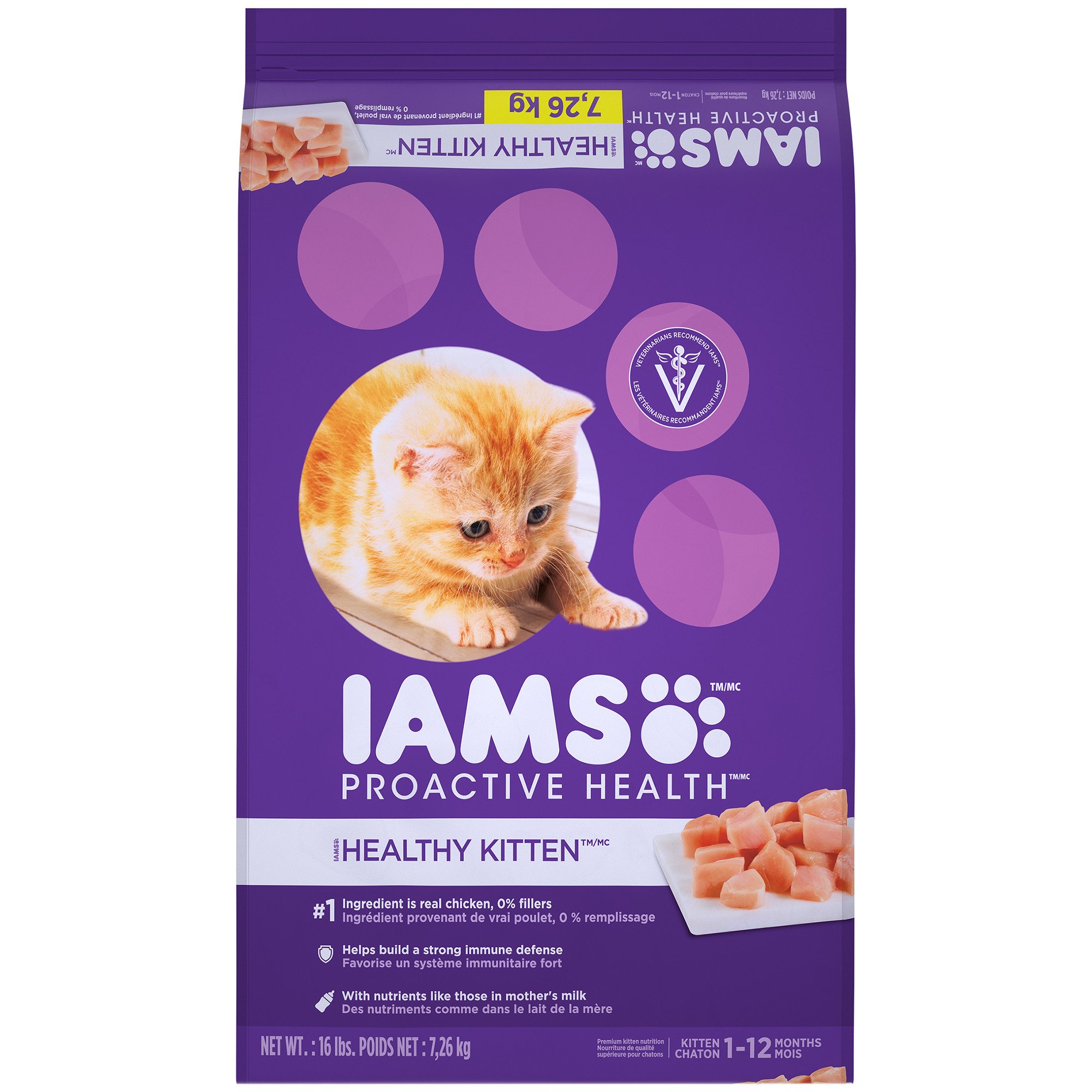 iams proactive health dry kitten food kittens