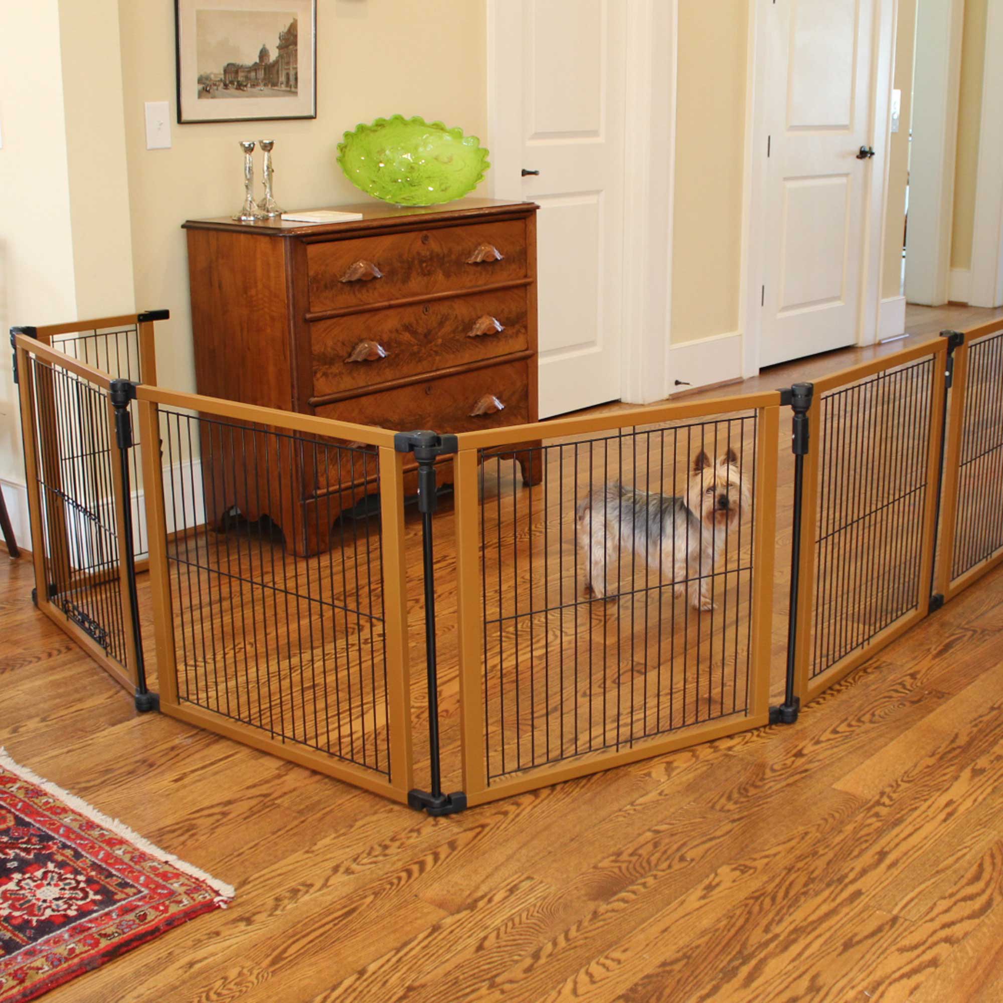 Cardinal Gates Perfect Fit Pet Gate | Petco