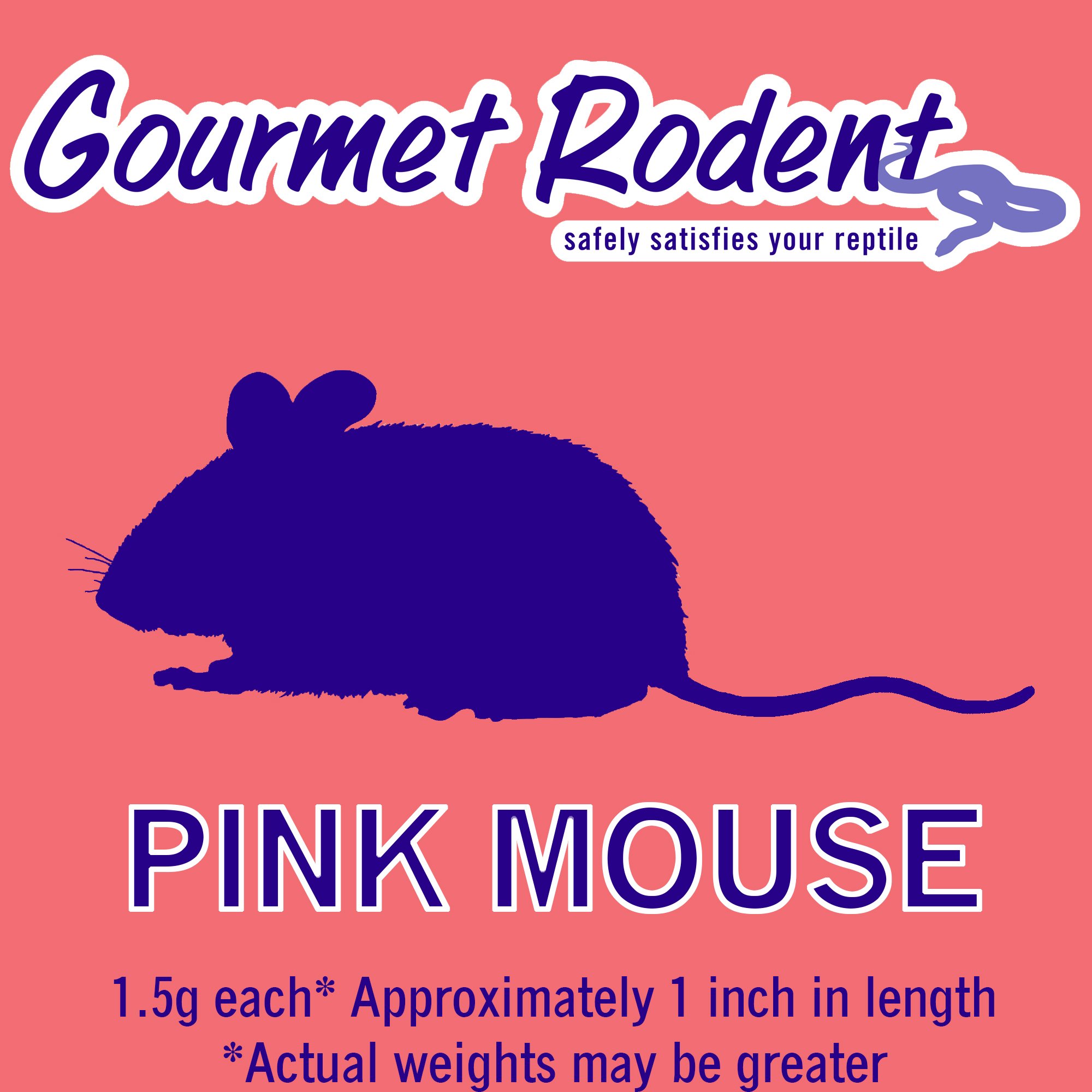 Frozen Pinkie Mouse 10 Count Petco