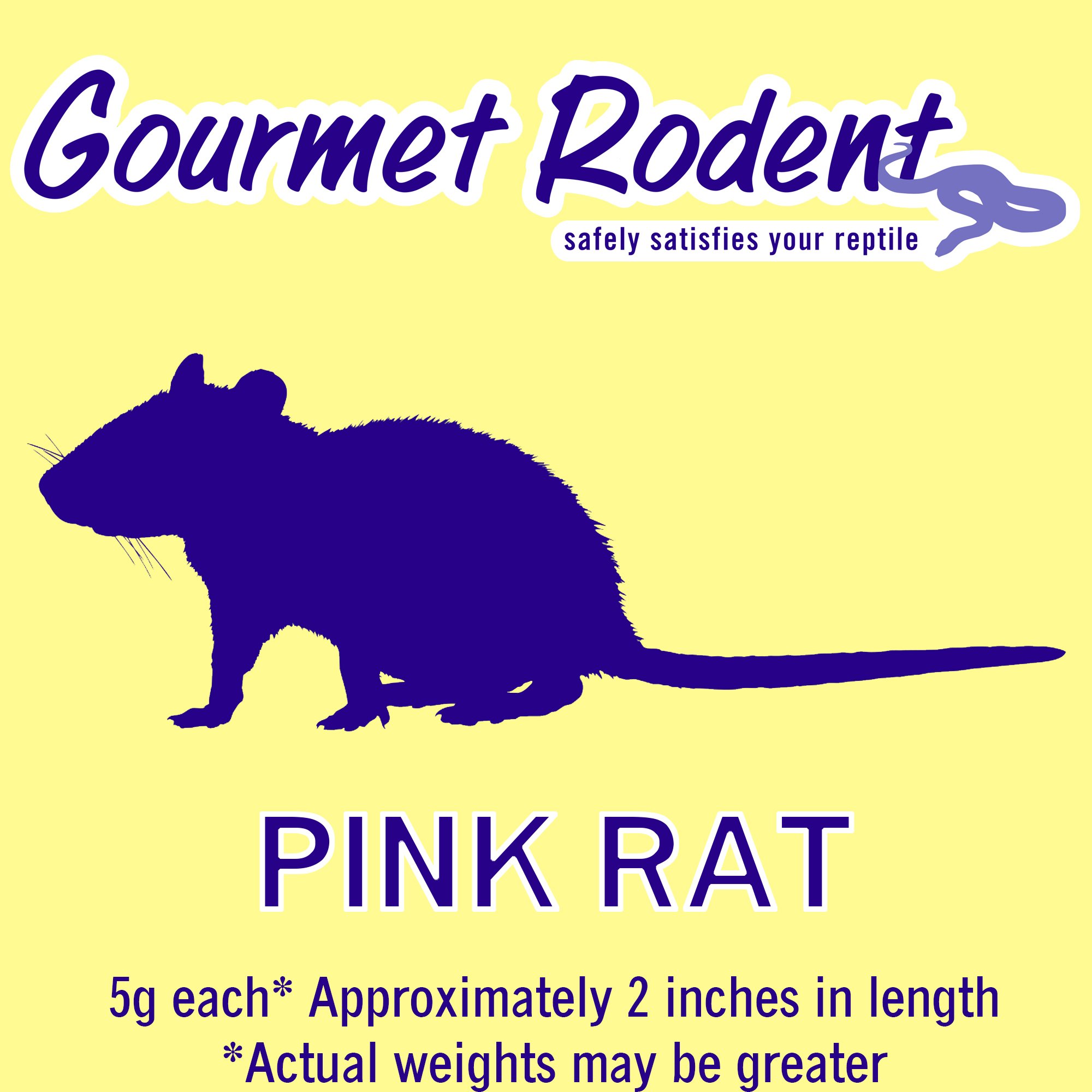 Frozen Pinkie Rat 10 Count Petco