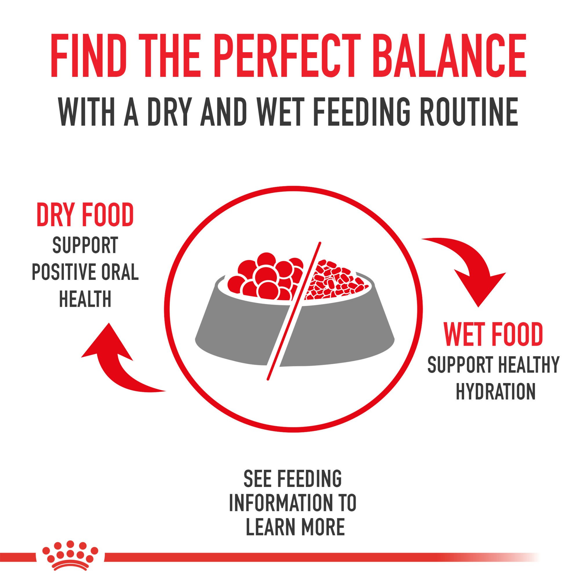 petco royal canin boxer