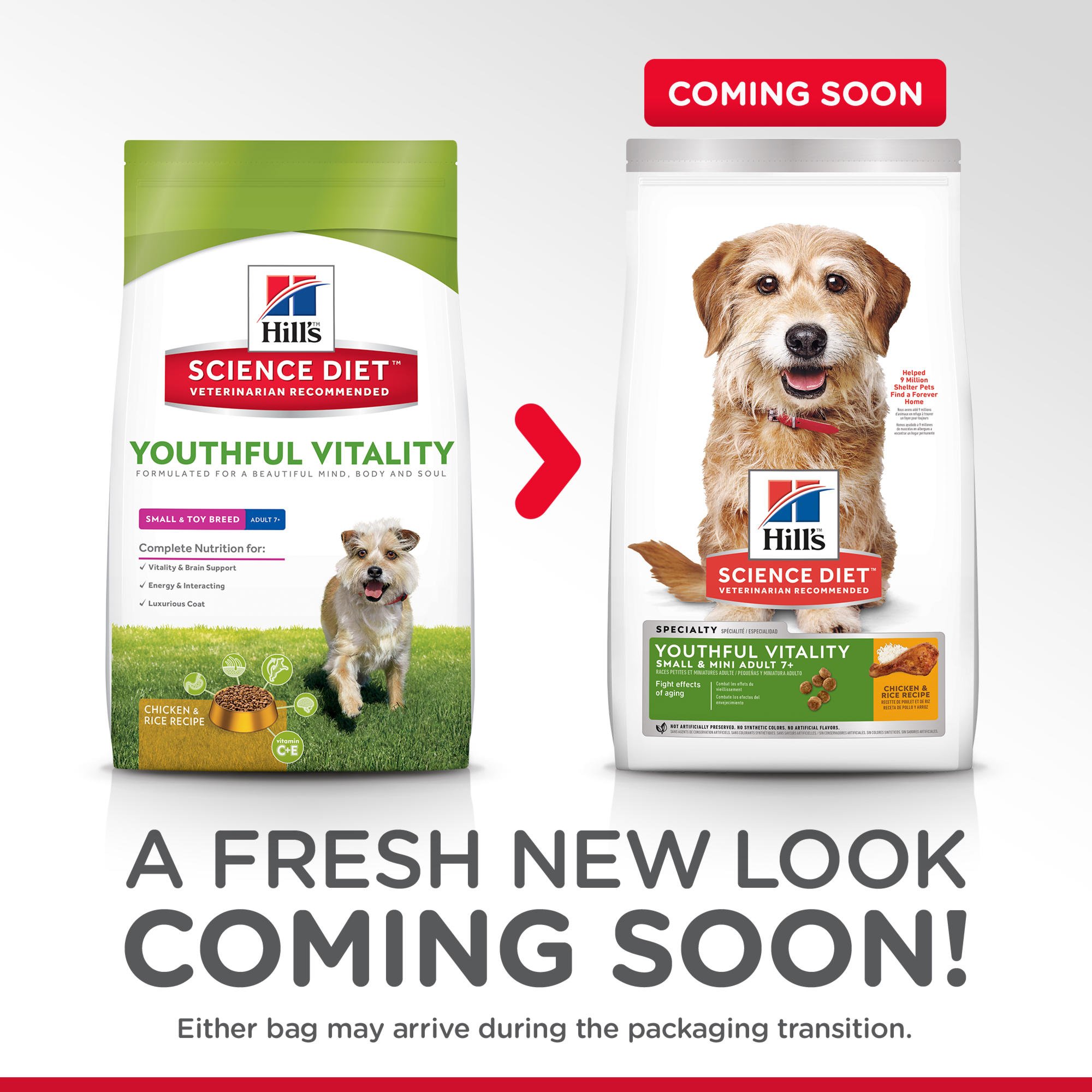 hill's science diet youthful vitality dog