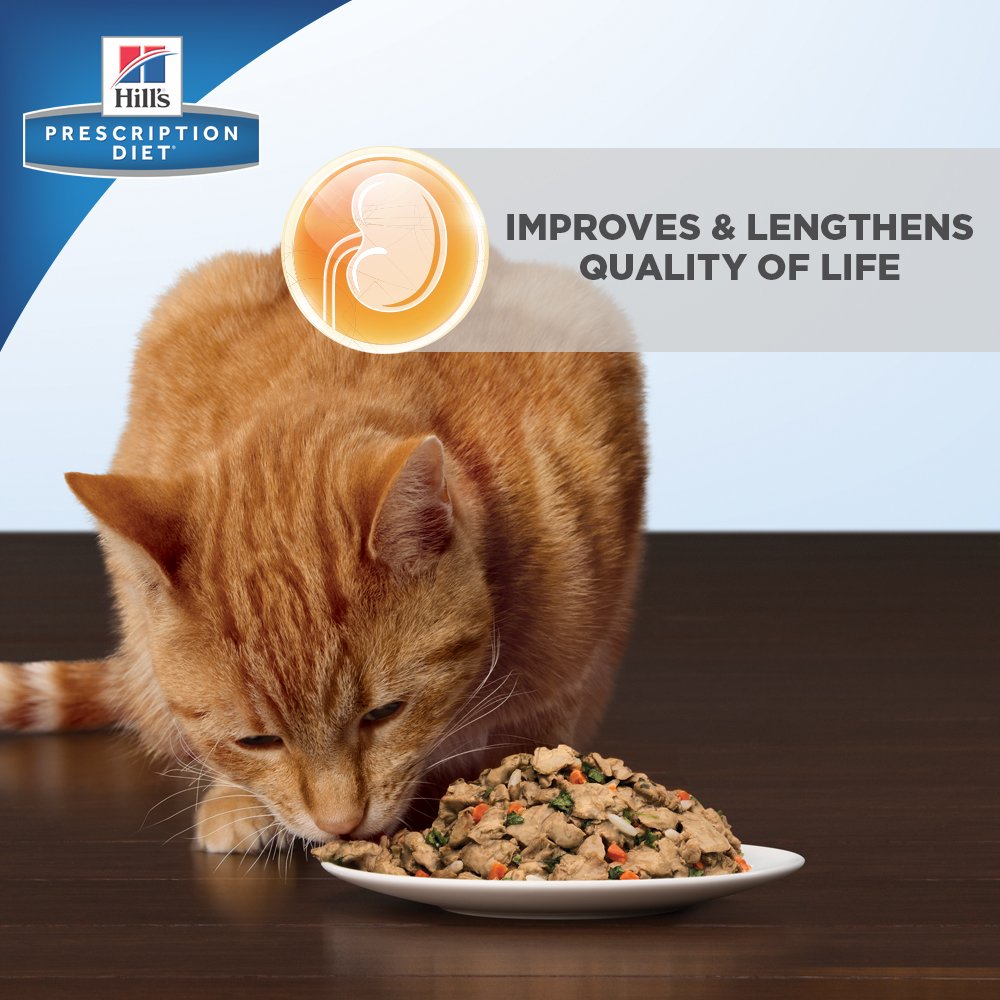 kidney care cat food