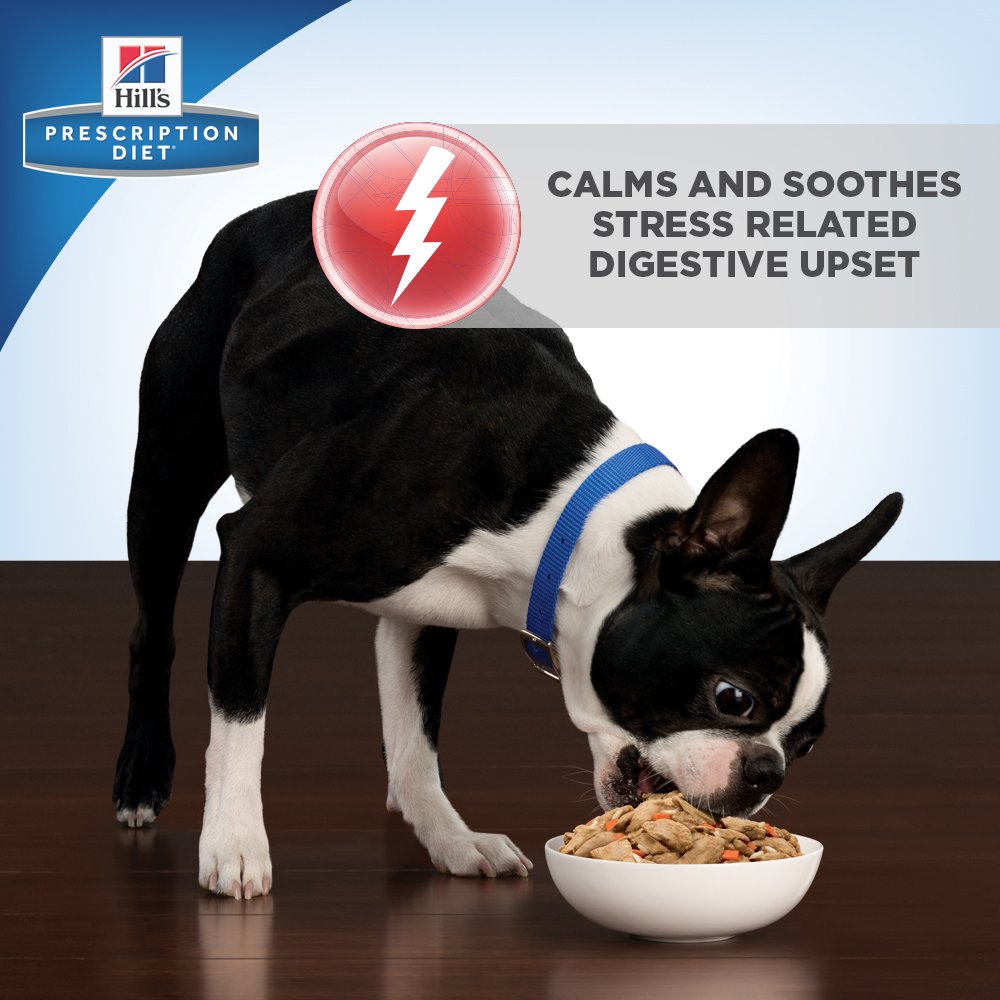 hills digestive care stress