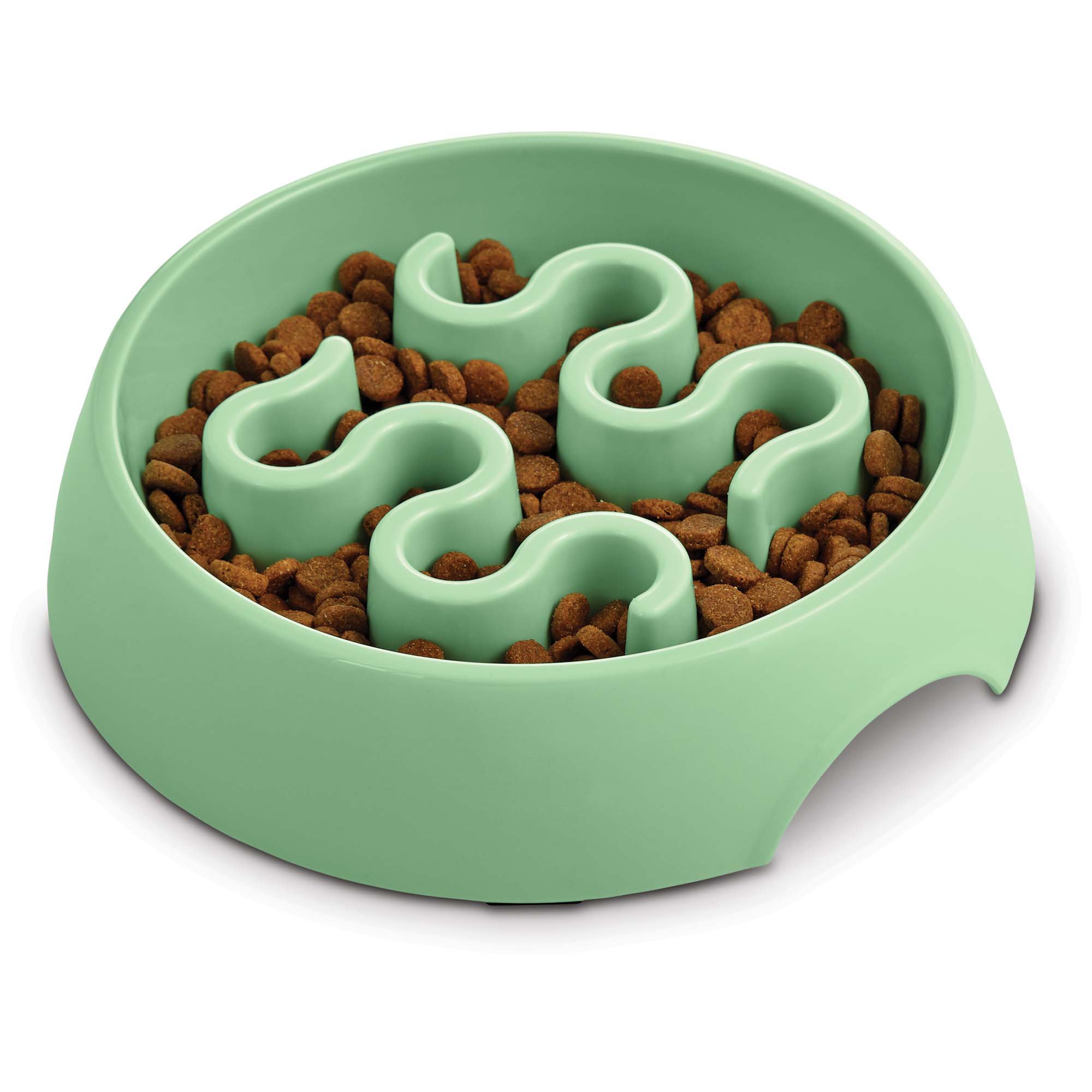 Harmony Mint Plastic Slow Feeder Dog Bowl | Petco