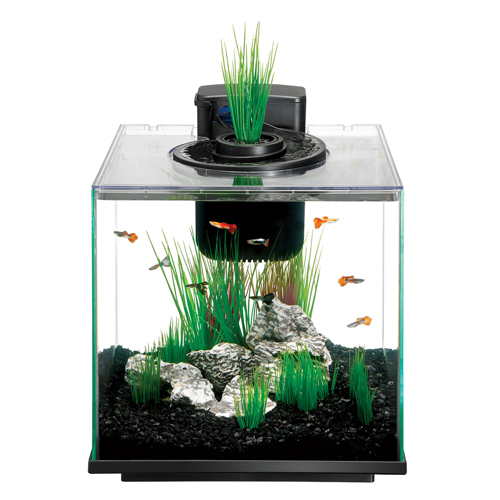 Aqueon Aquarium Customer Service