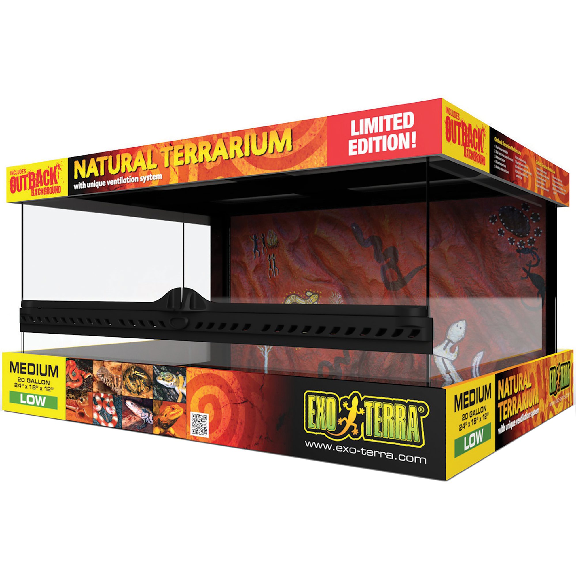 Green Tree Frog Petco