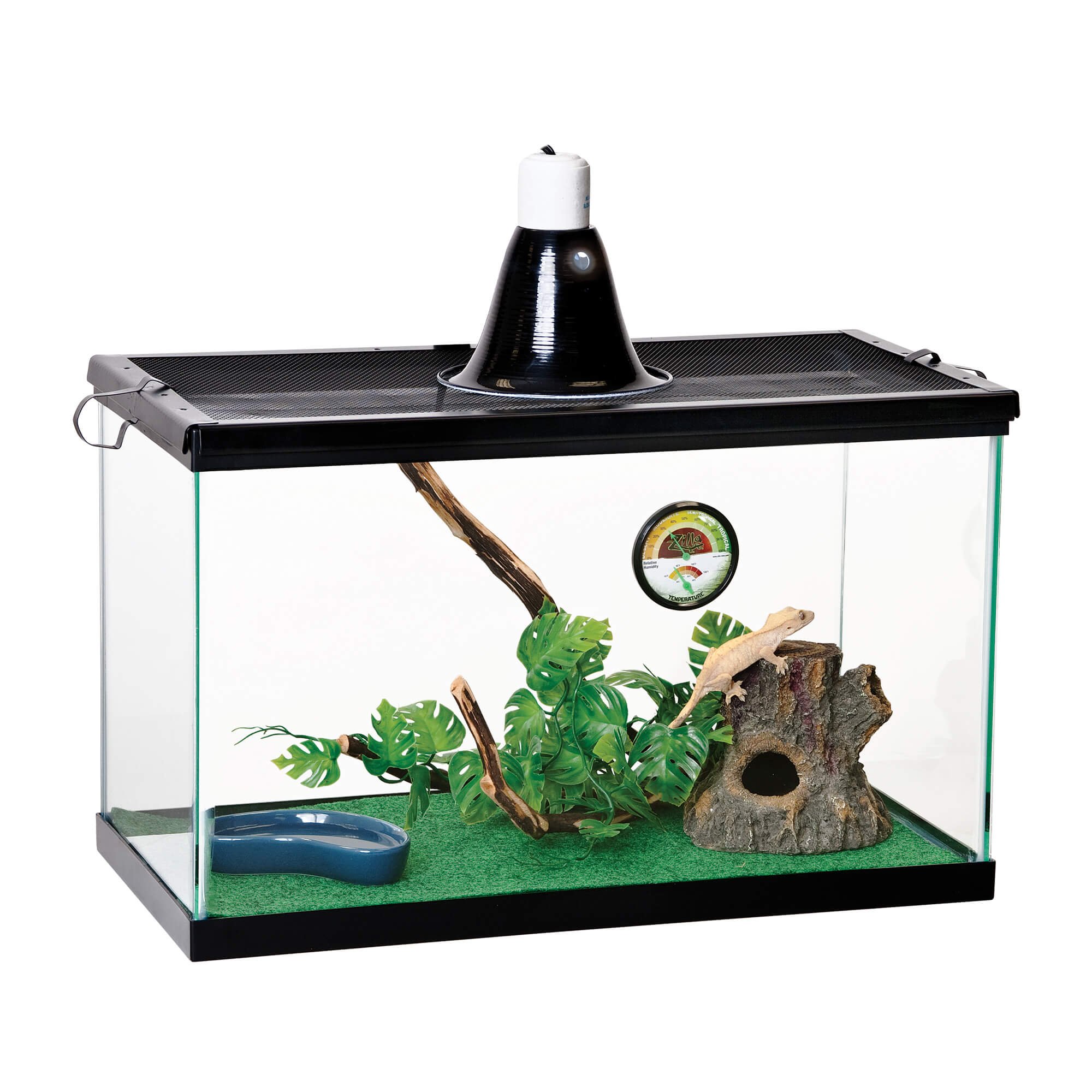 Reptile Terrariums & Cages | Reptile Tanks & Enclosures | Petco