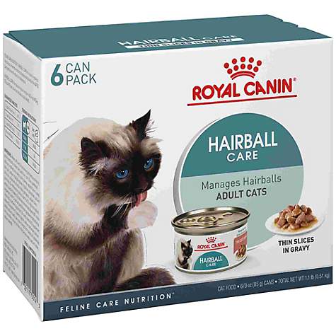 Royal Canin Feline Health Nutrition Hairball Care Wet Cat ...