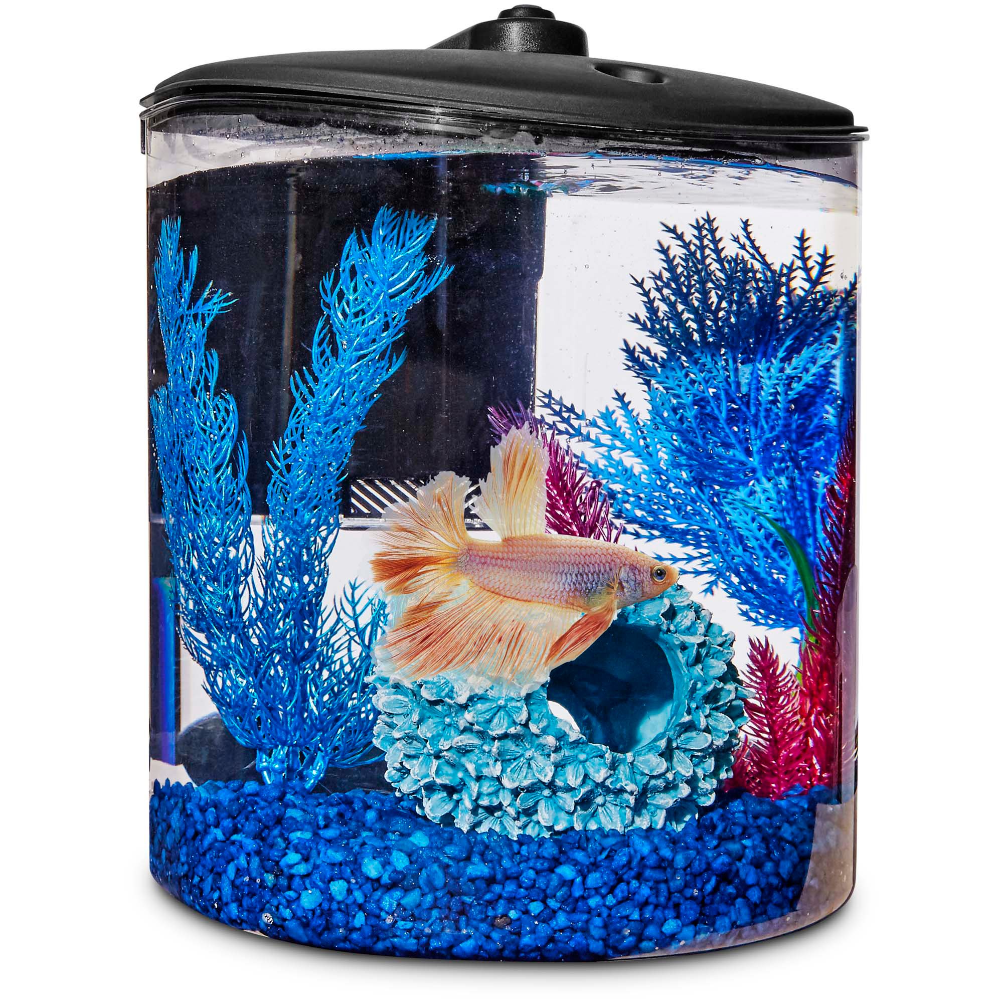 travel betta fish tank