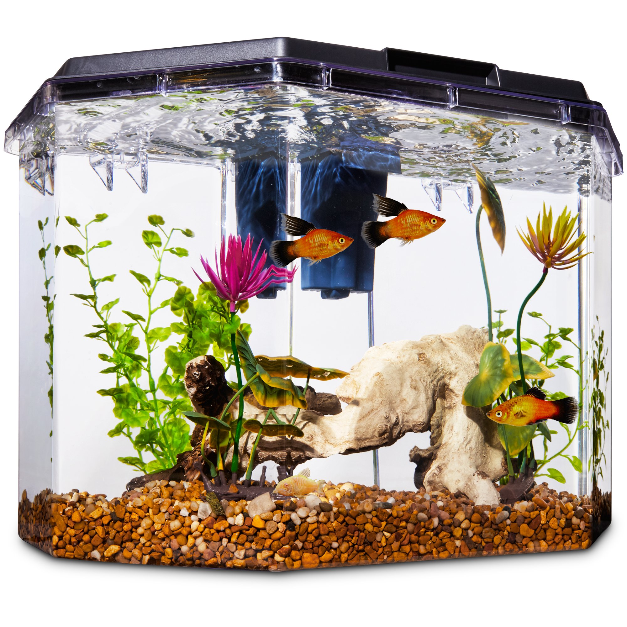 Imagitarium 5.2 Gallon Freshwater Aquarium Petco