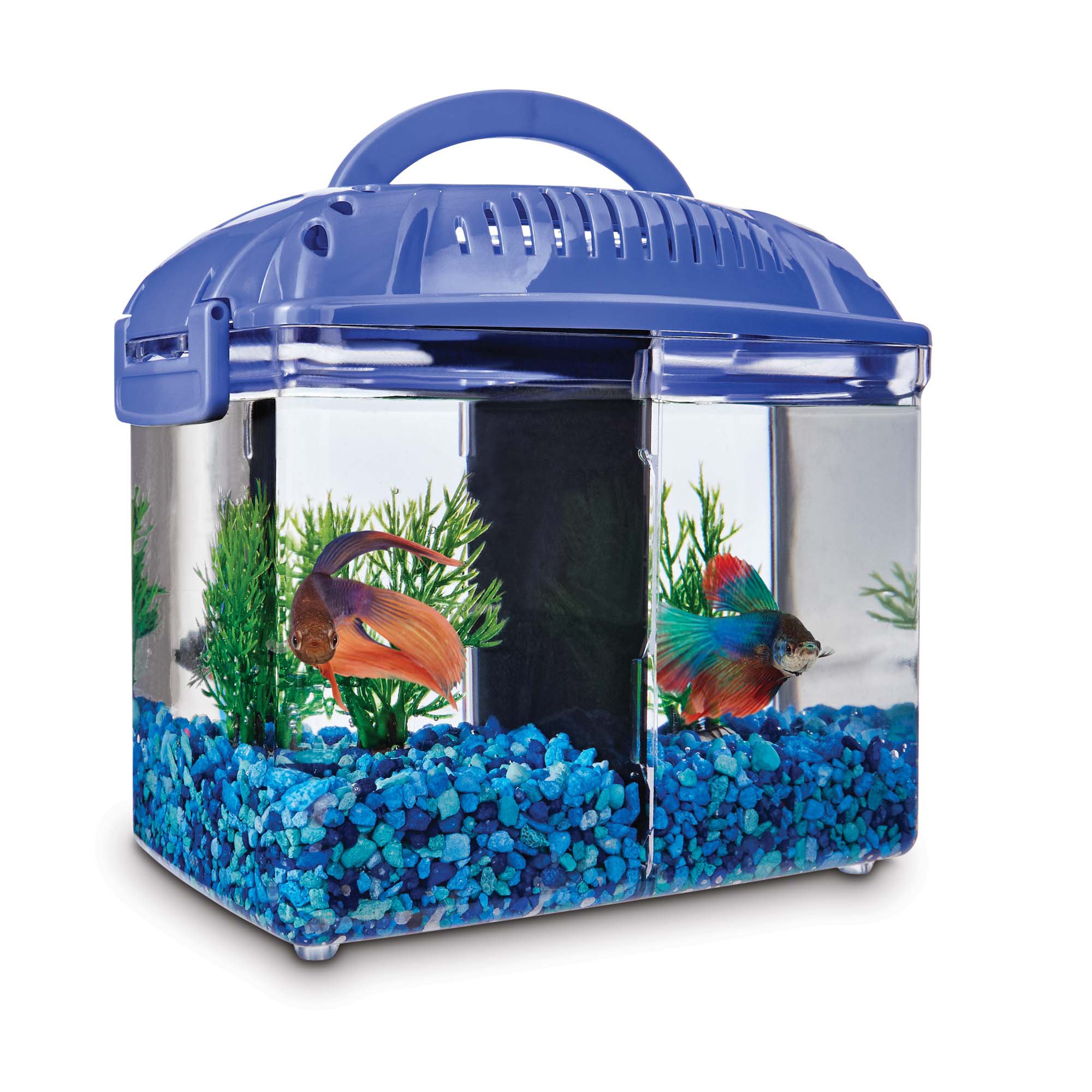 petco hexagon fish tank