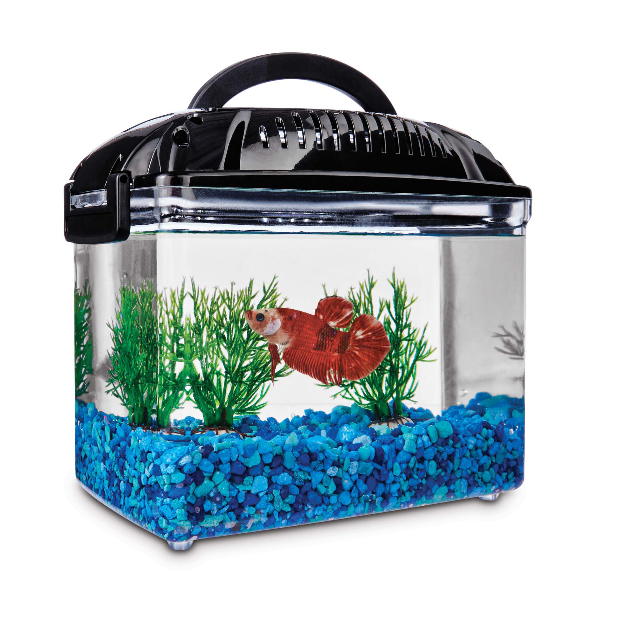 Imagitarium Betta Fish Dual Habitat Tank In Black | Petco