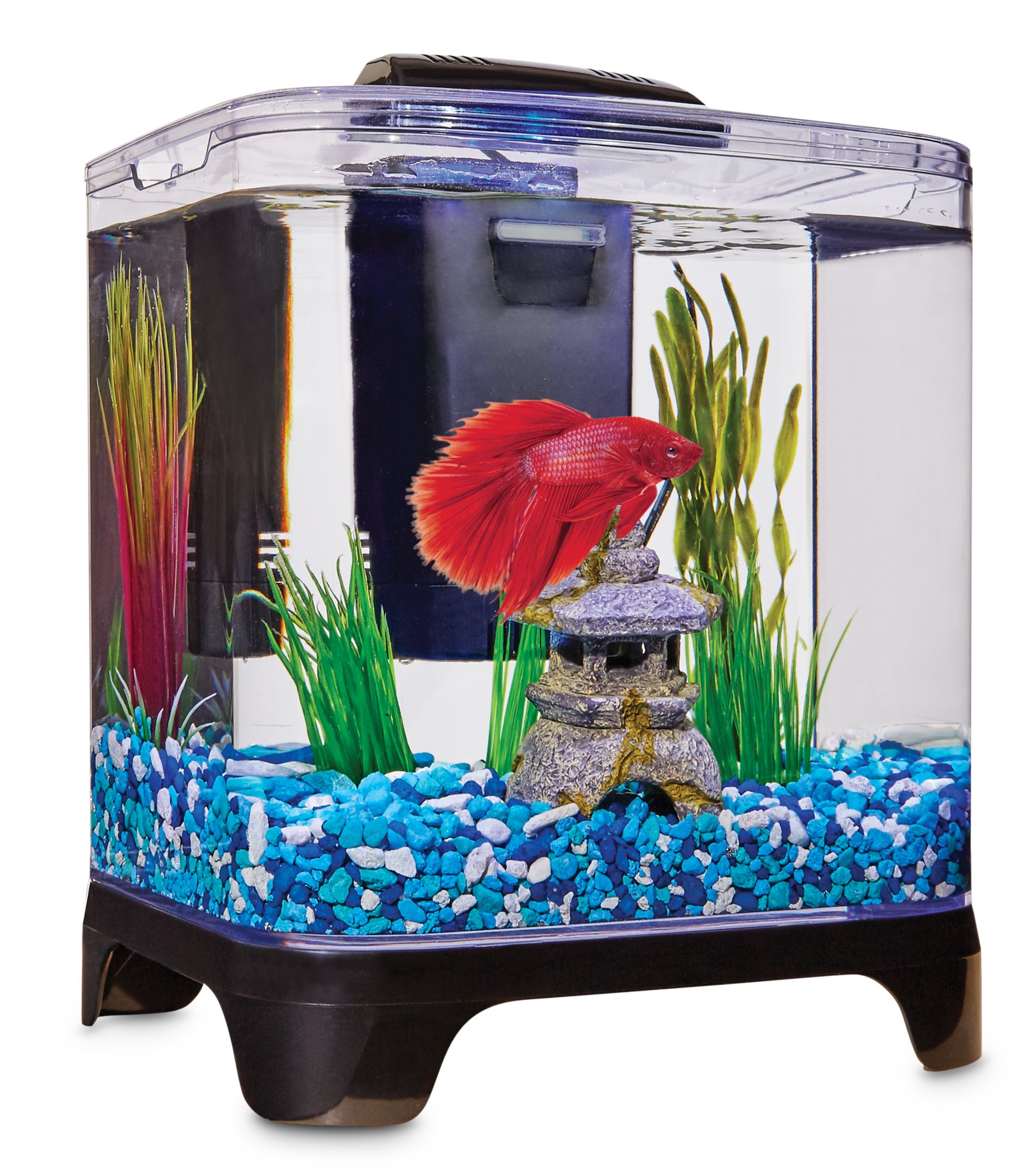 Petco Bookshelf Aquarium For Sale Home Maximize Ideas