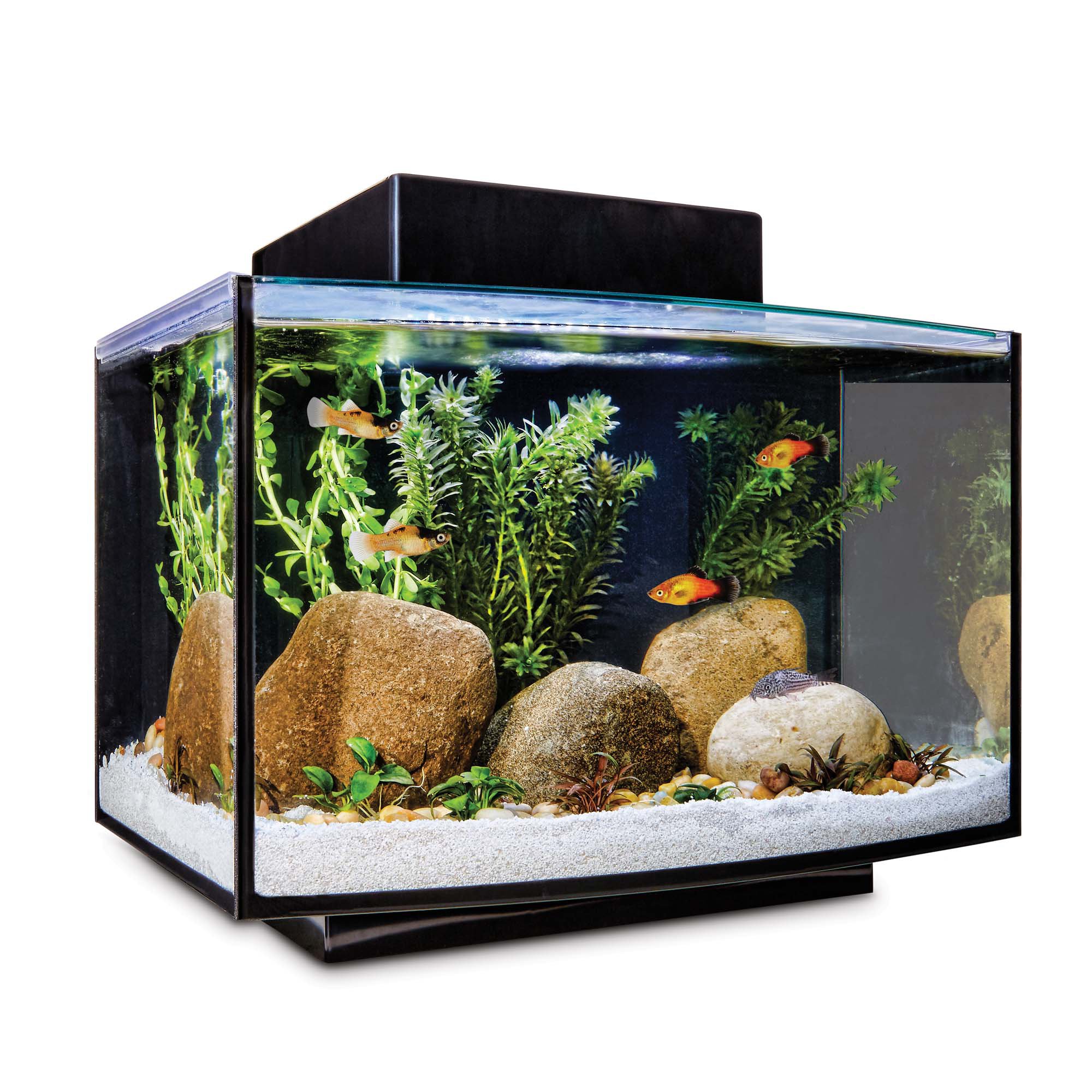 Imagitarium Platform Freshwater Aquarium Kit | Petco