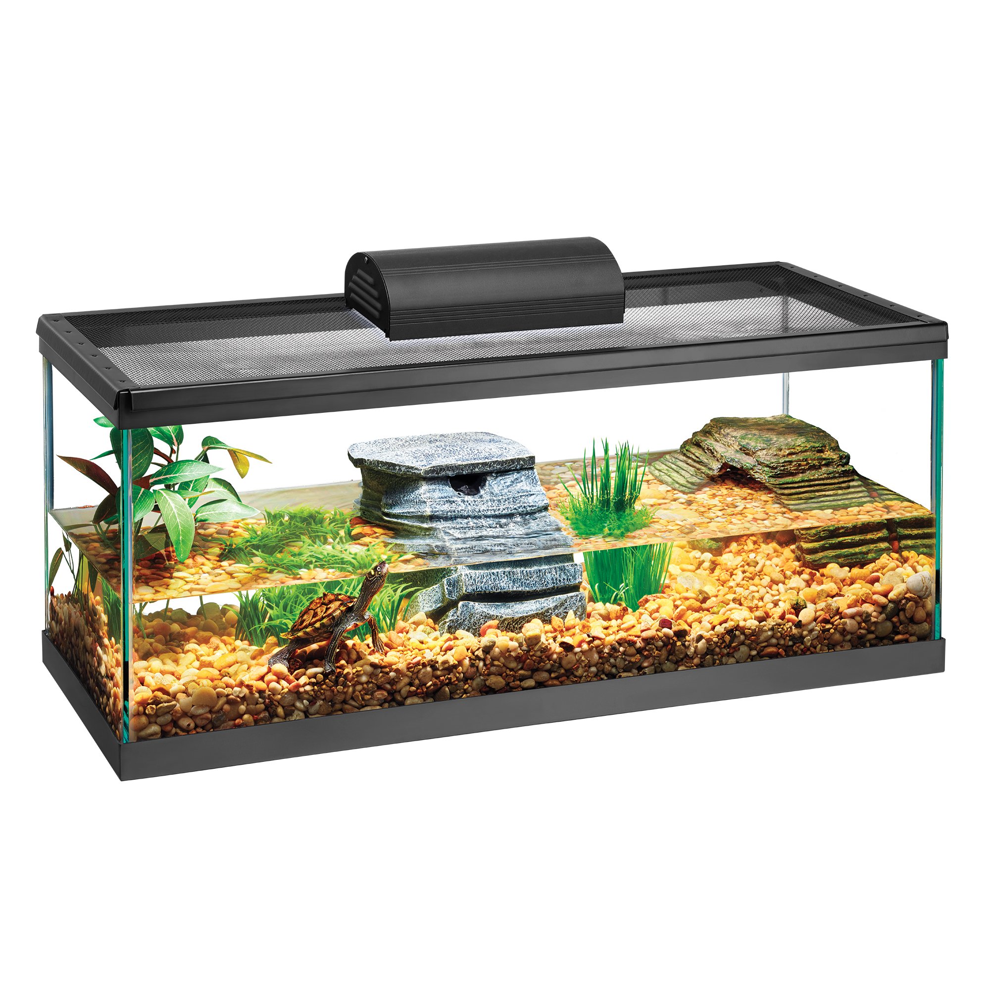 toy turtle tank