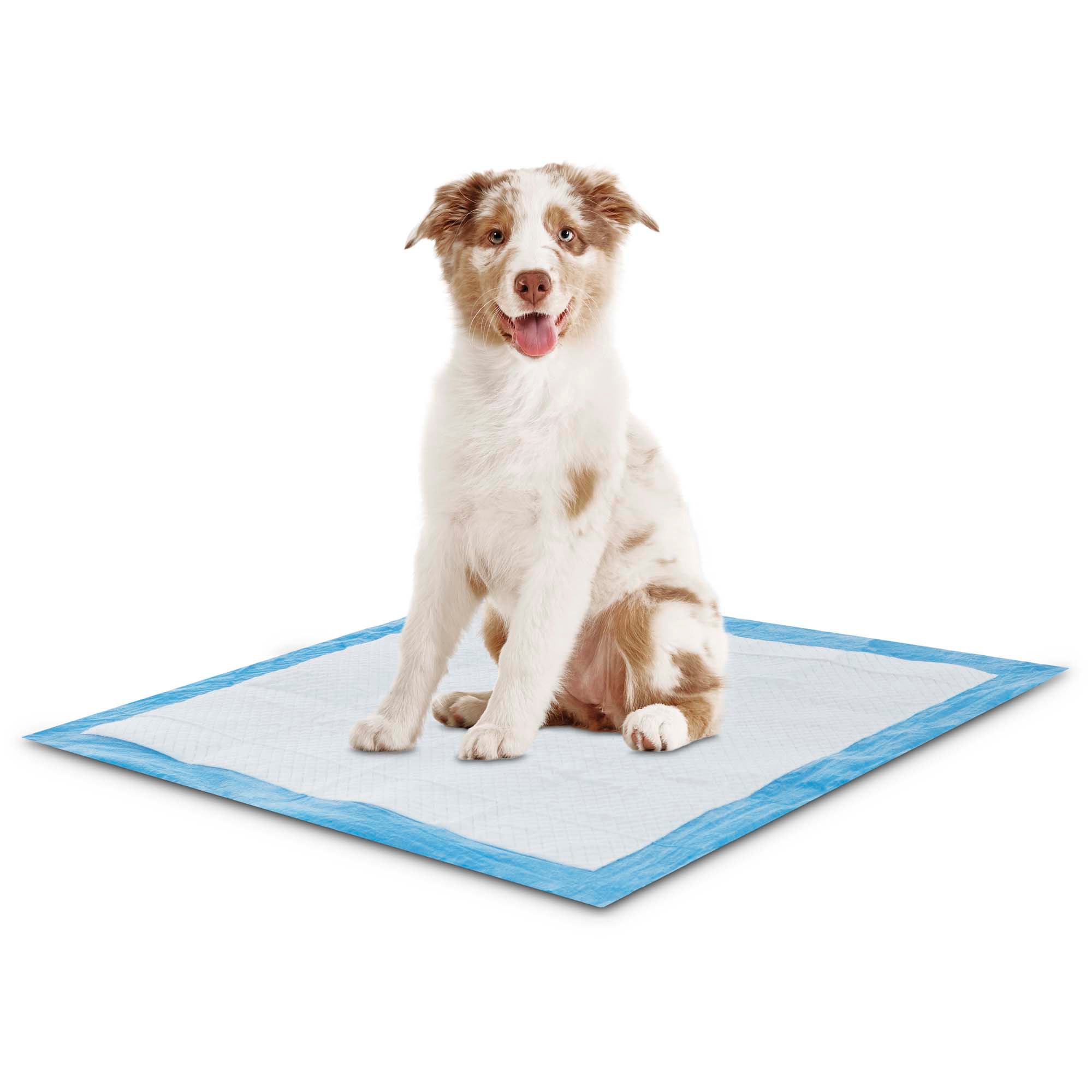 Animaze Absorbent Dog Potty Pads Count Of 150 Petco