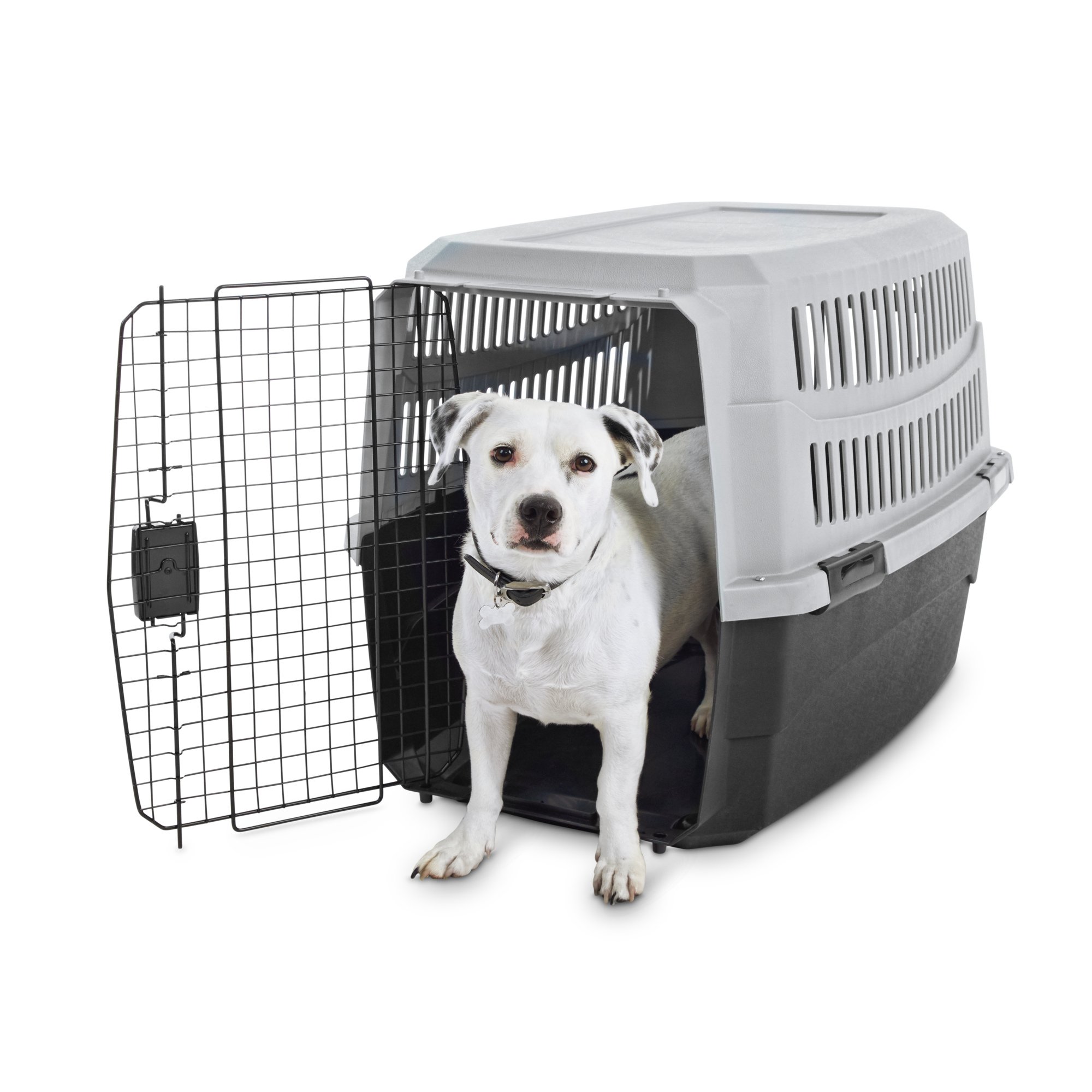 Animaze Standard Kennel for Dogs or Cats, 36