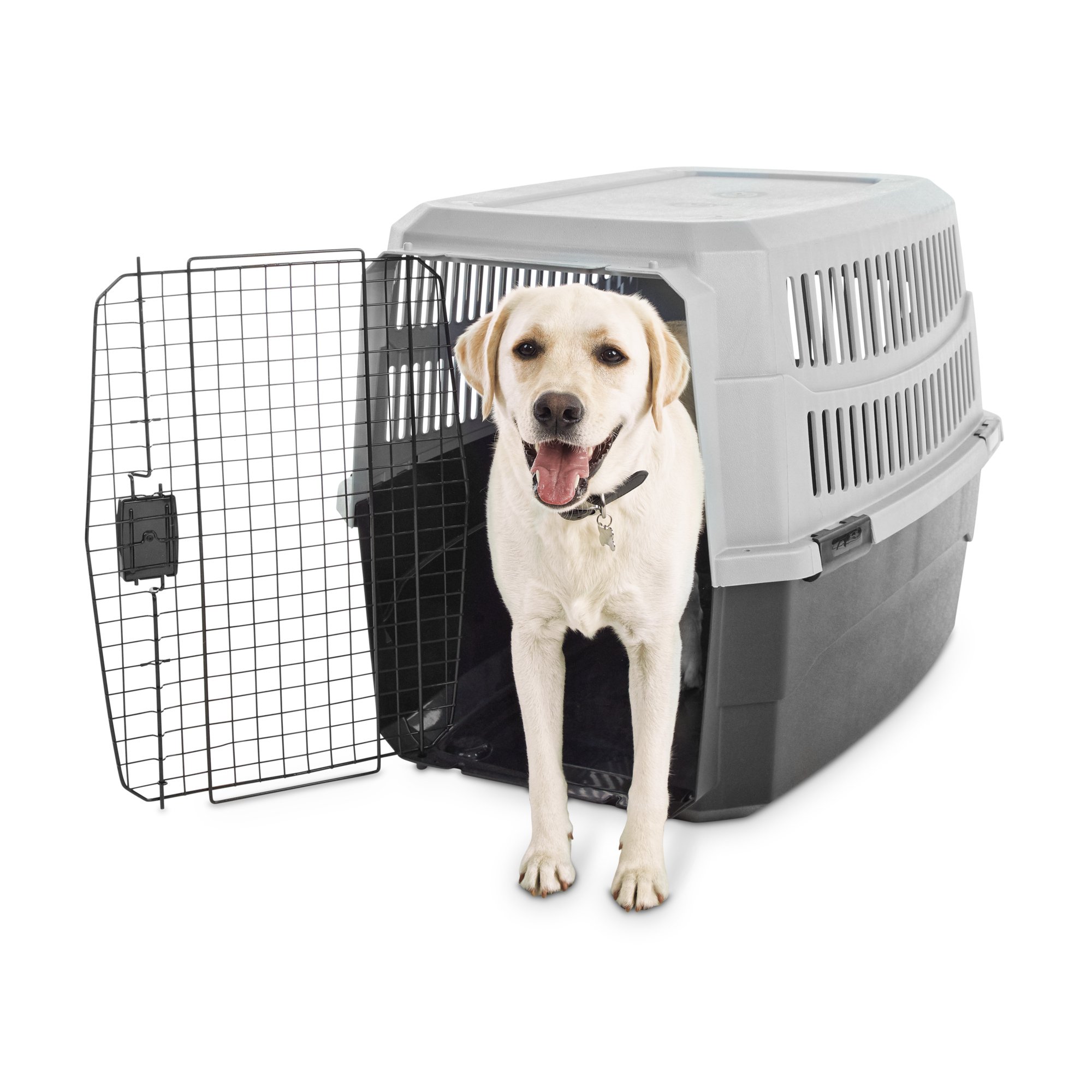 cages for dogs petco