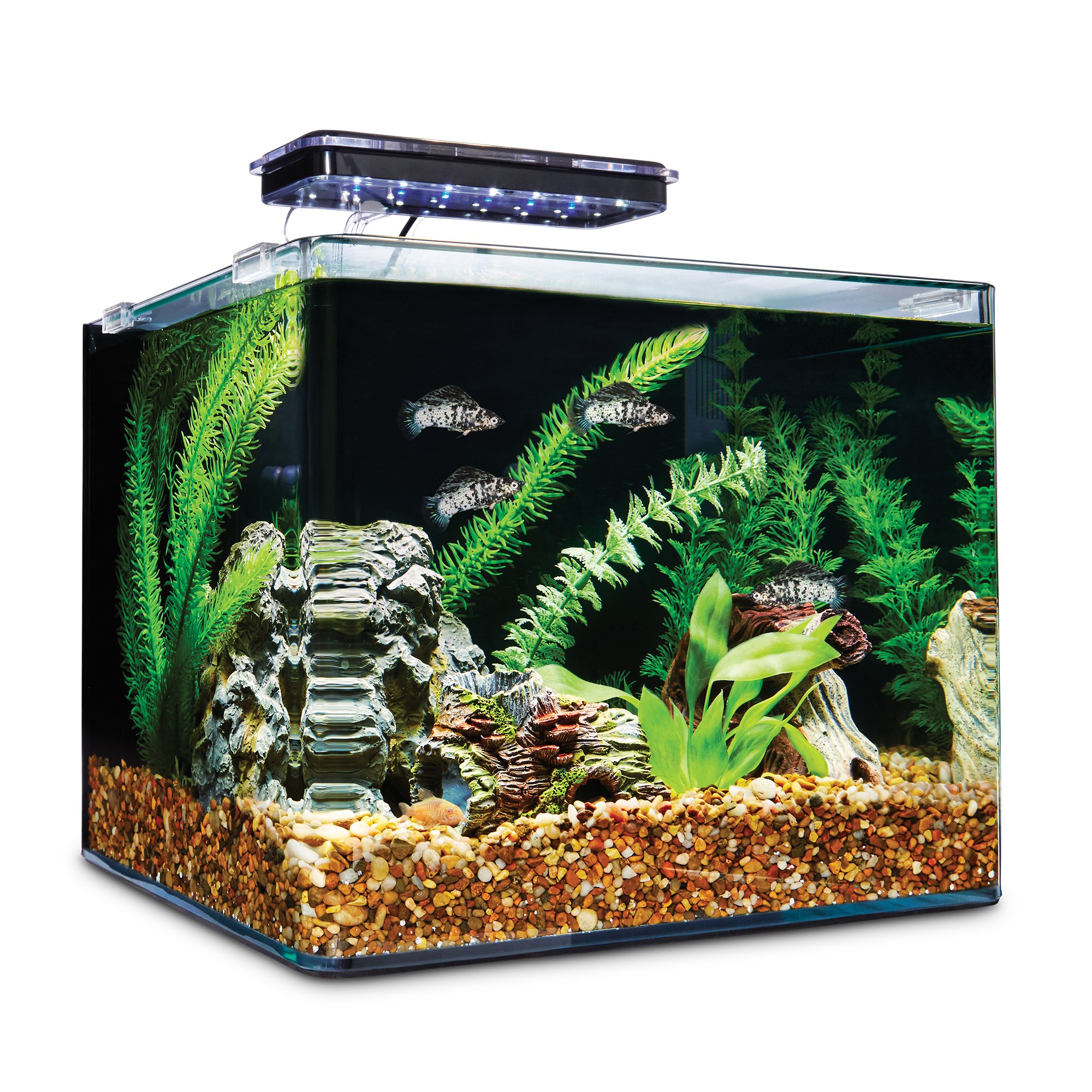 Imagitarium Frameless Freshwater Aquarium Kit Petco