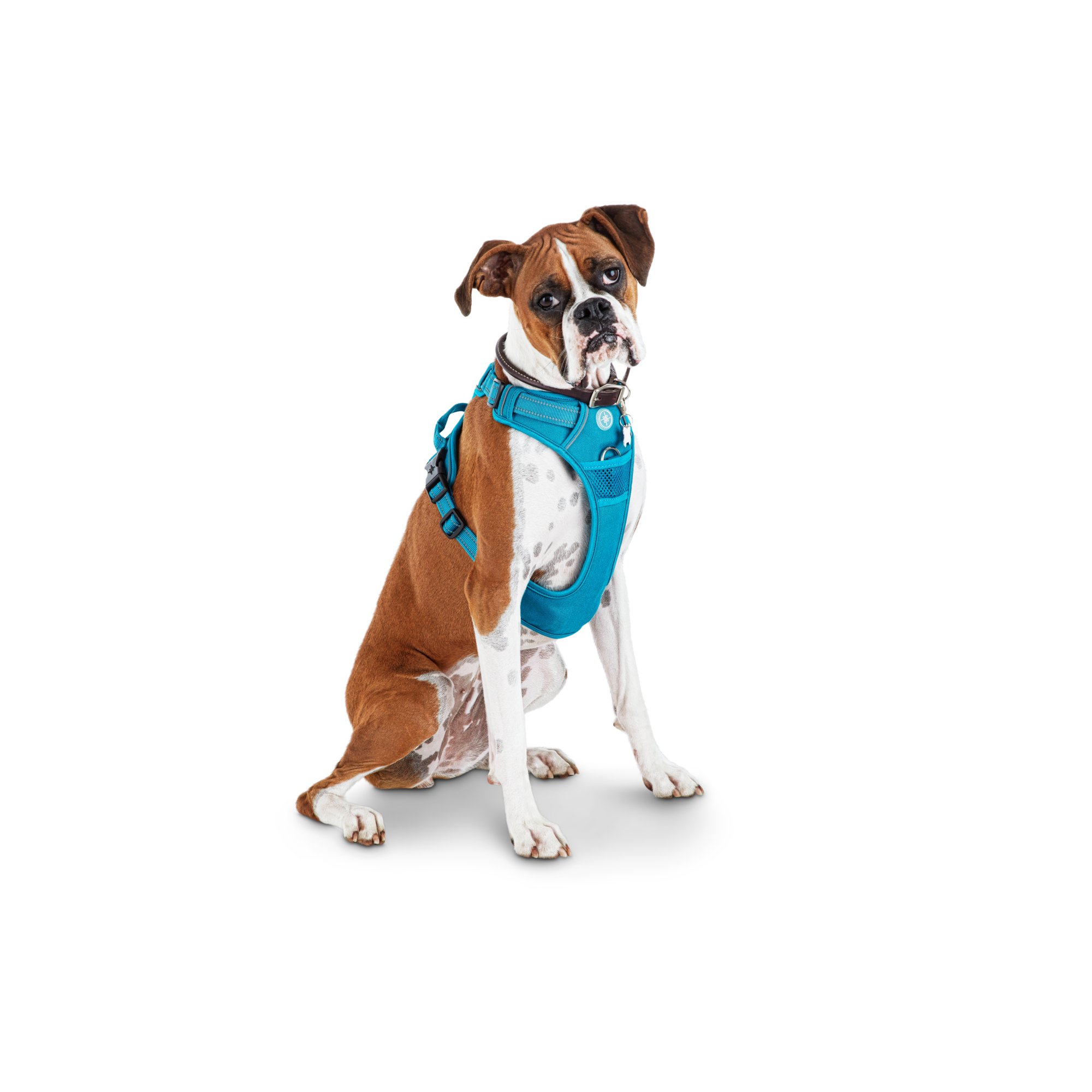 Good2Go Blue Front Walking Dog Harness 