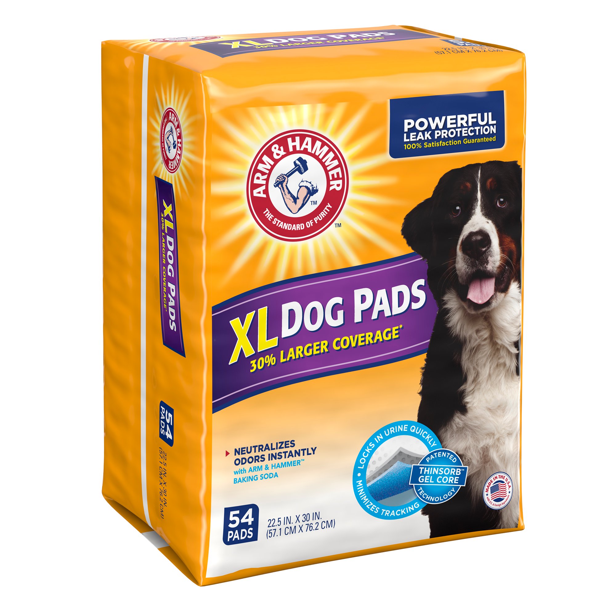 Big lots dog training pads