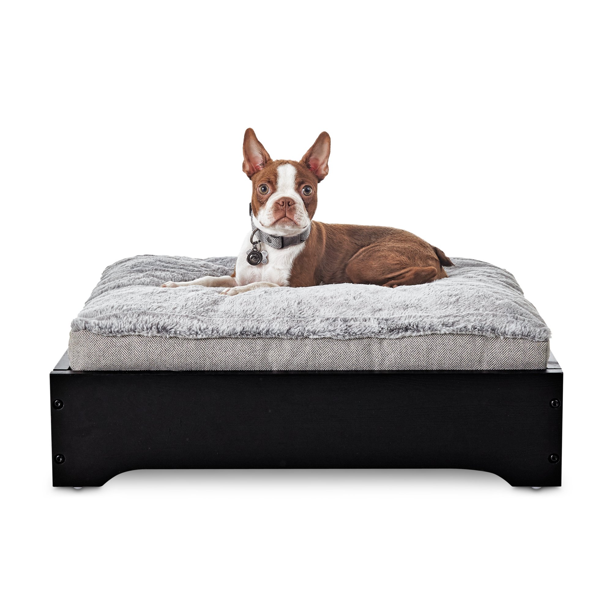 Modern Luxe Collection Modern Luxe Lounge Life Dog Bed Riser Shop