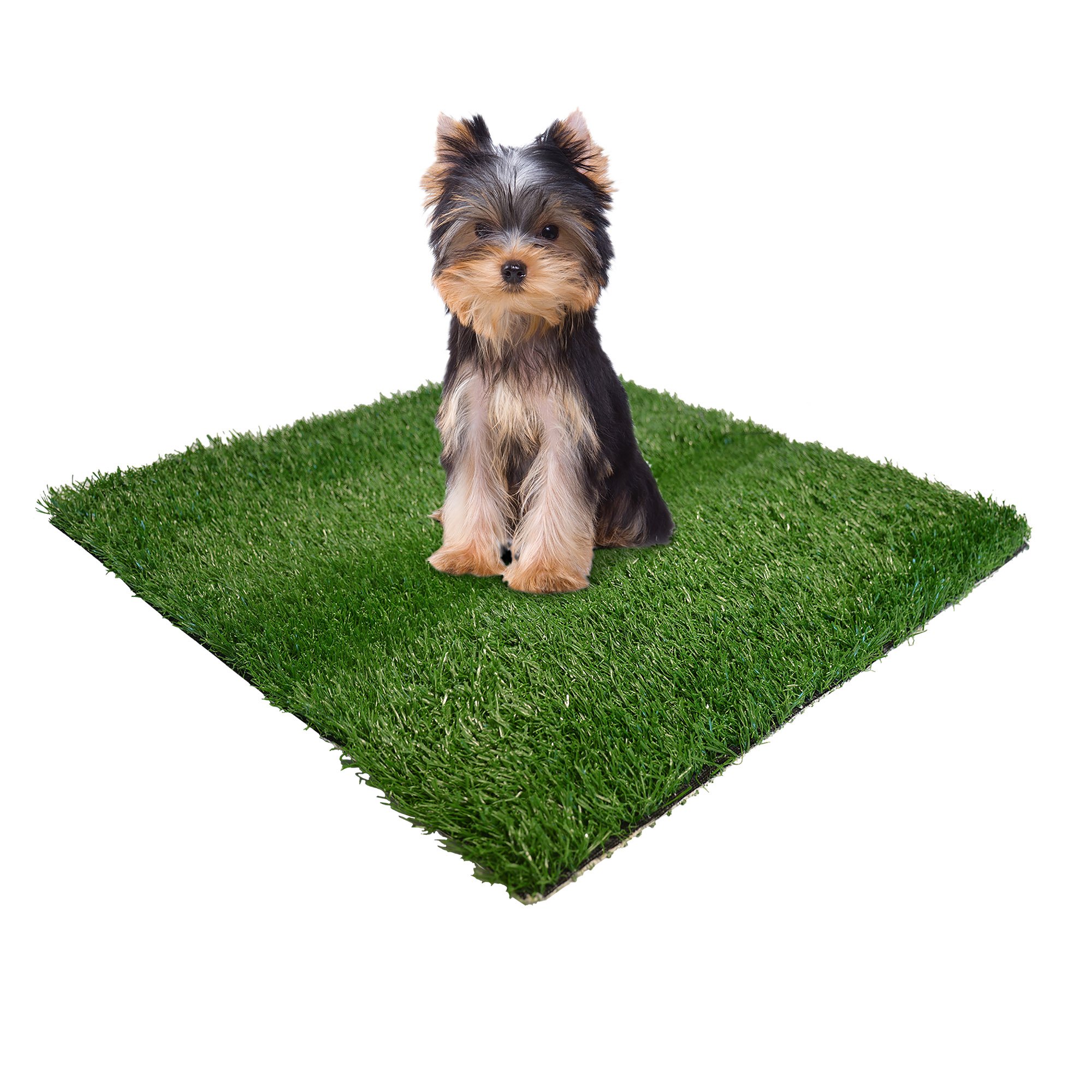 UPC 045663158521 product image for Wee-Wee Pads Patch Indoor Potty Replacement Grass, Small | upcitemdb.com