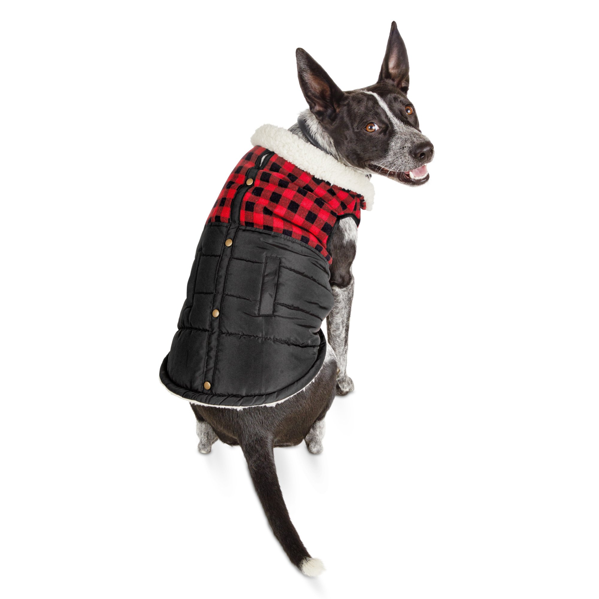 petco dog jacket