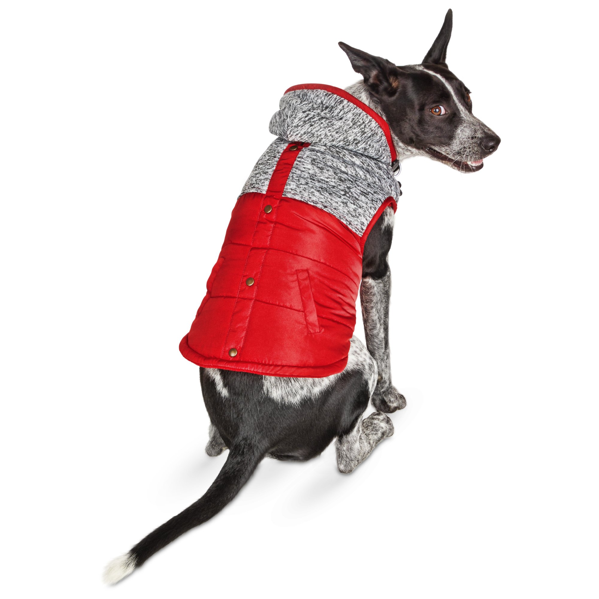 PETCO Apparel UPC & Barcode