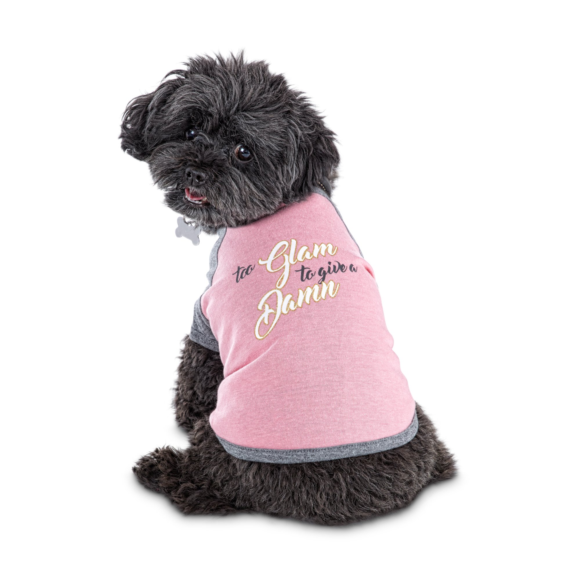 bond co dog clothes