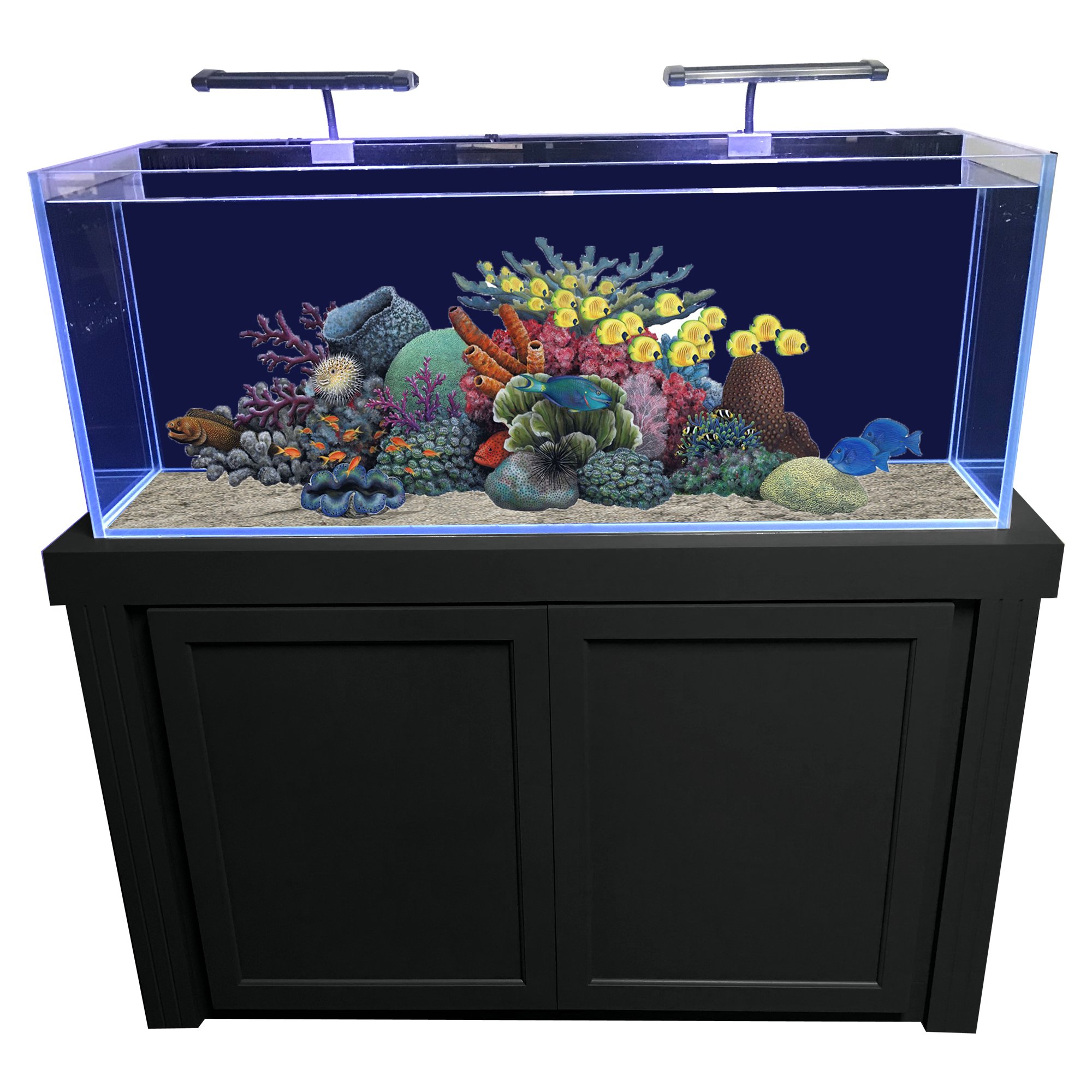 SeaClear 40 Gallon Rectangular Aquarium Combo, Black | Petco