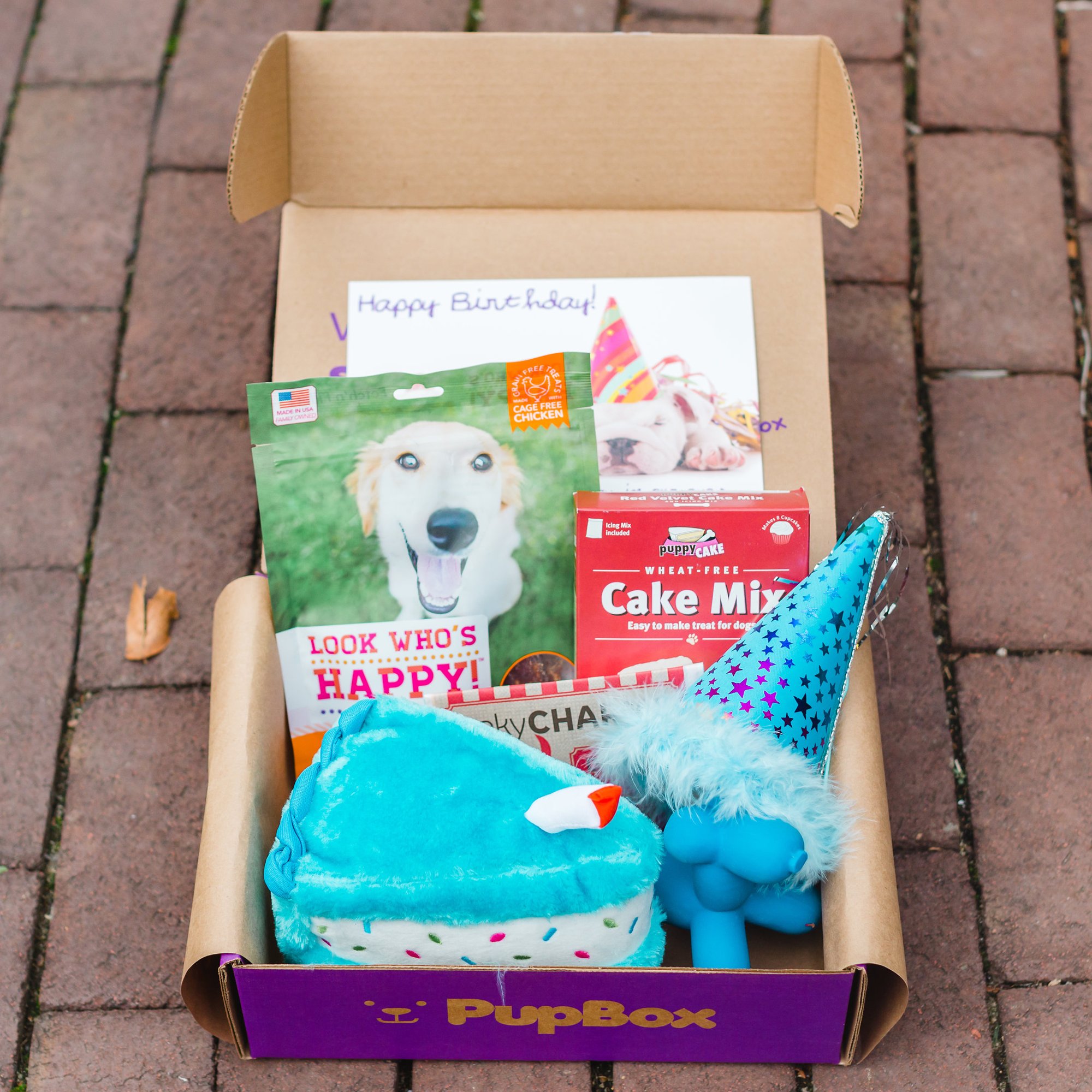 dog birthday box of toys