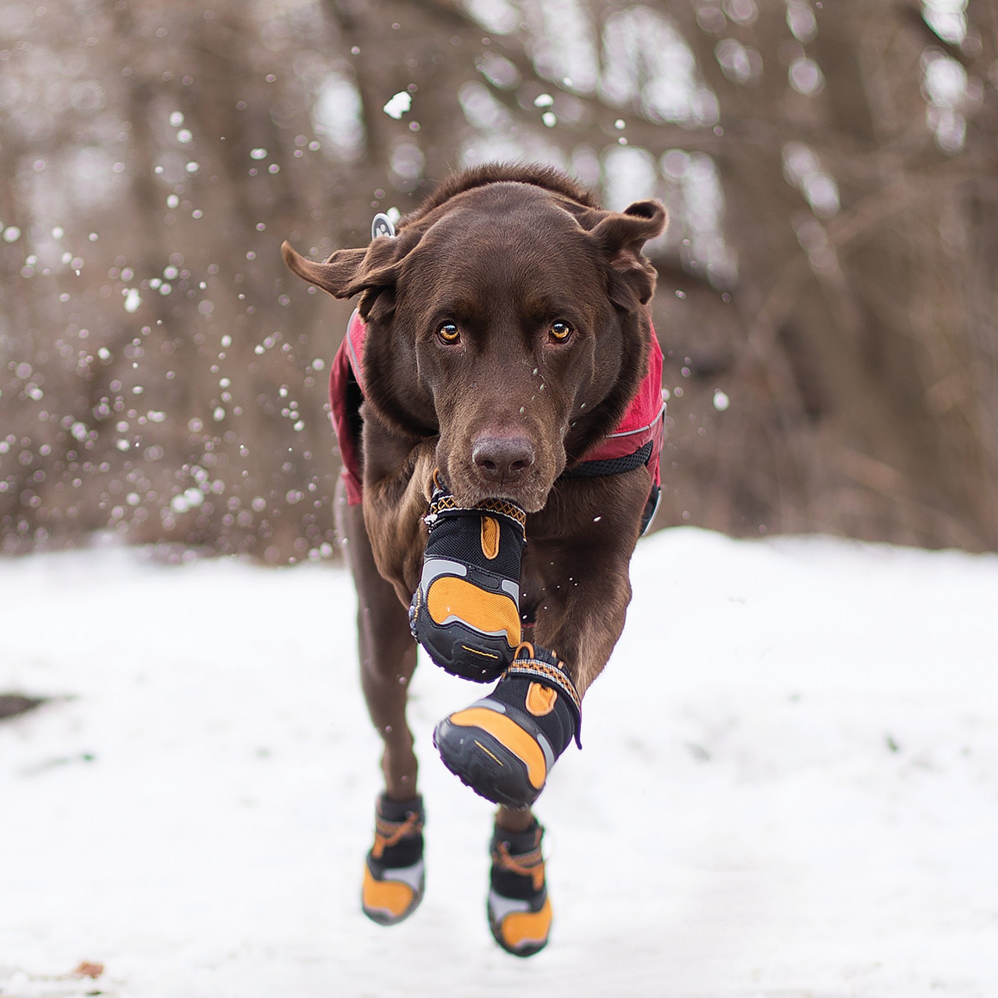 Kurgo Step-n-Strobe Dog Shoes, XX-Small 