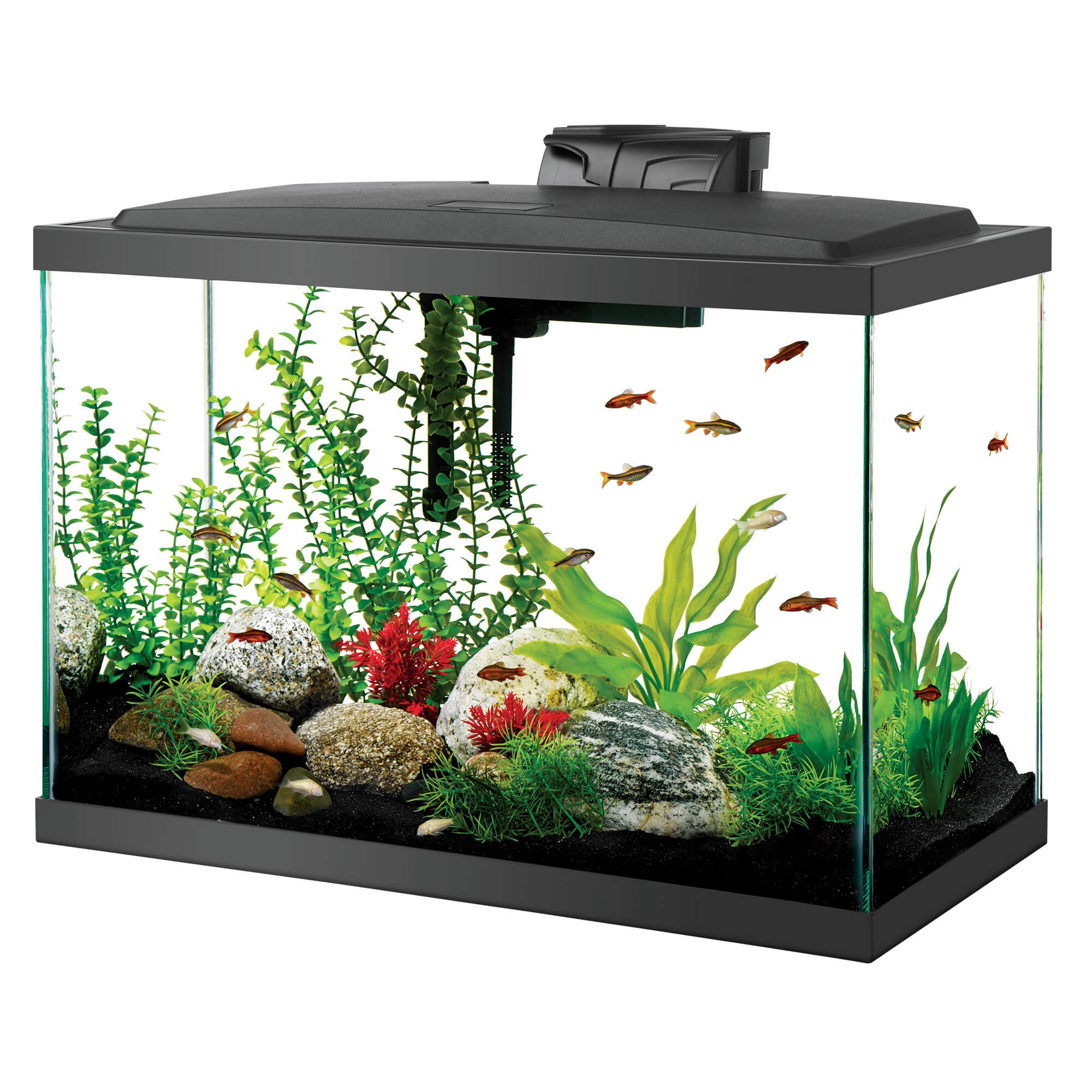 aqueon-led-aquarium-kit-20h-black-petco