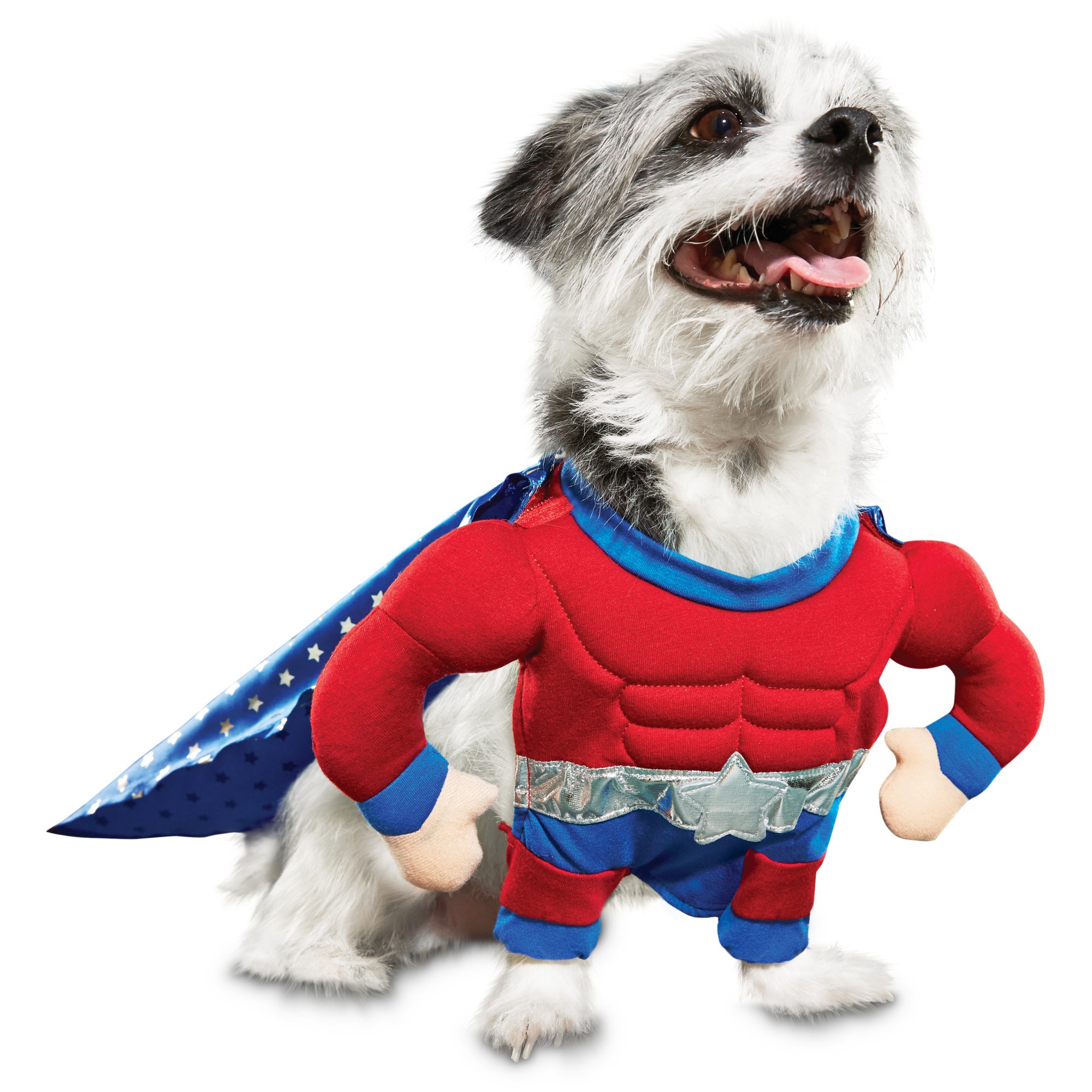 Bootique Superhero Dog Costume | Shop Your Way: Online Shopping & Earn ...