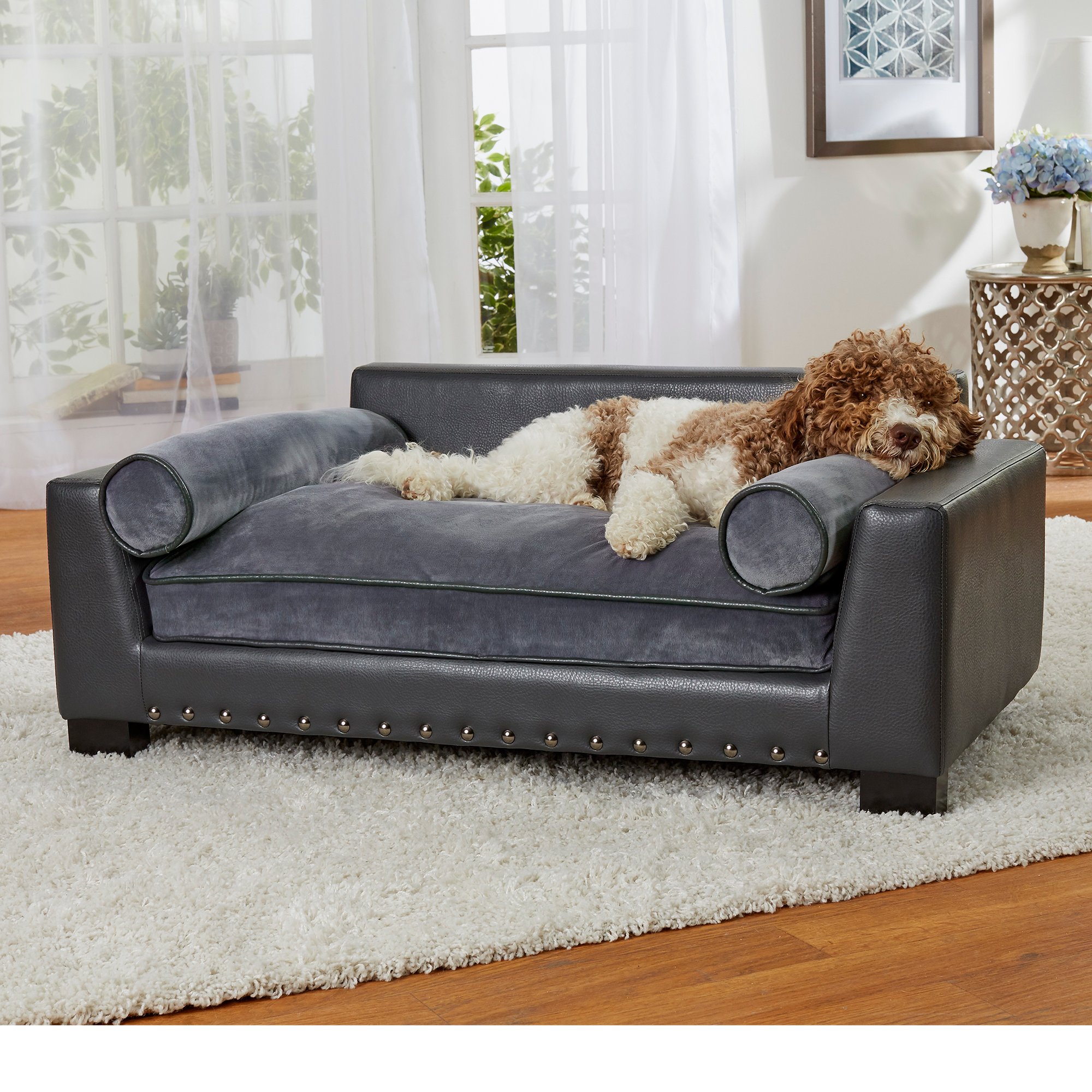 https://petco.scene7.com/is/image/PETCO/2873817-center-1?$ProductDetail-large$