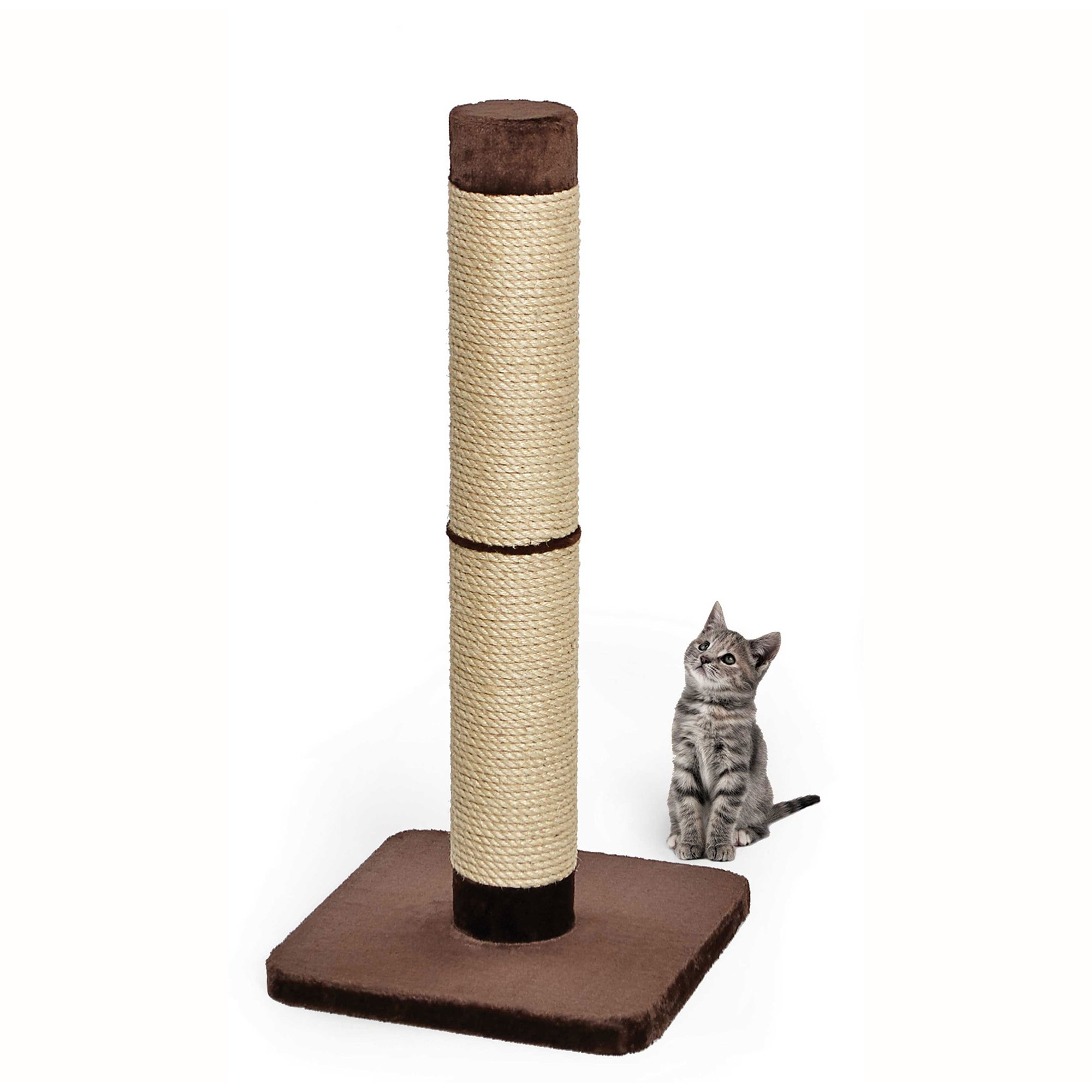 petco ultimate scratching post