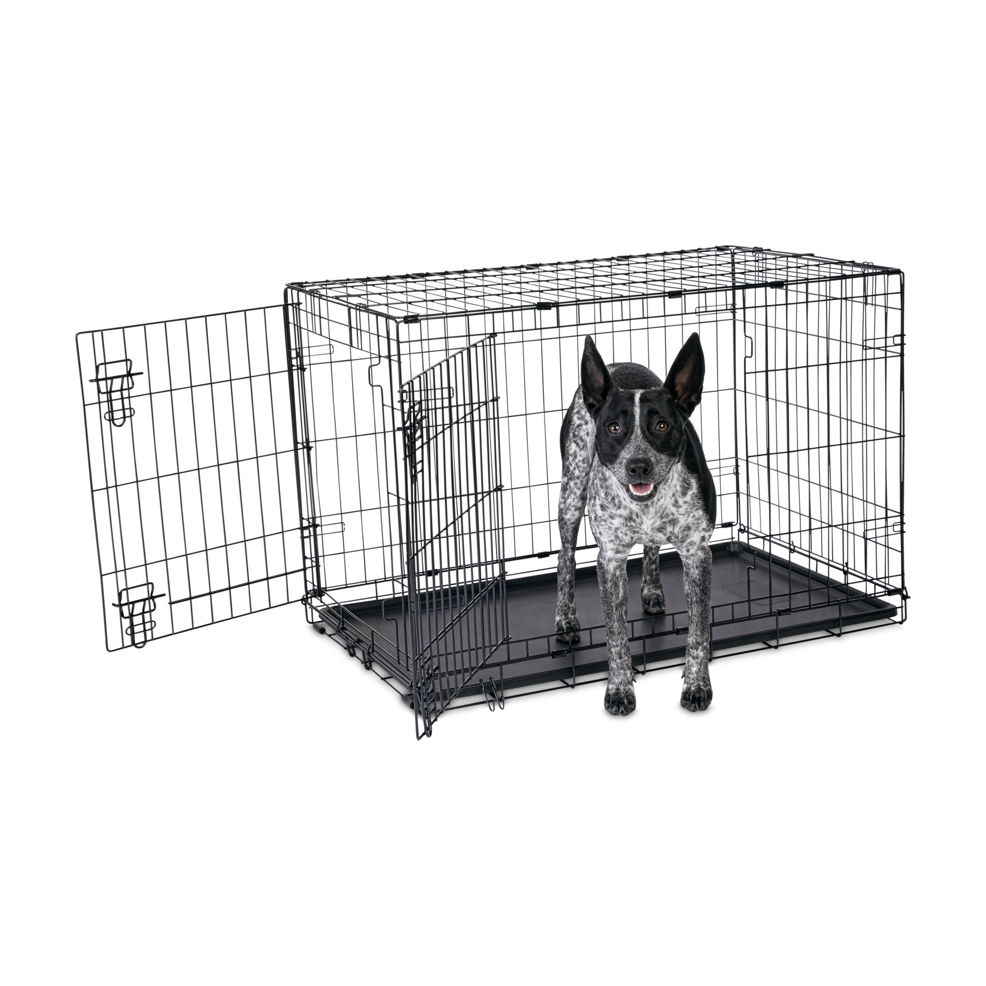 Animaze 2 Door Folding Dog Crate 36 5 L X 23 5 W X 24 7 H Petco