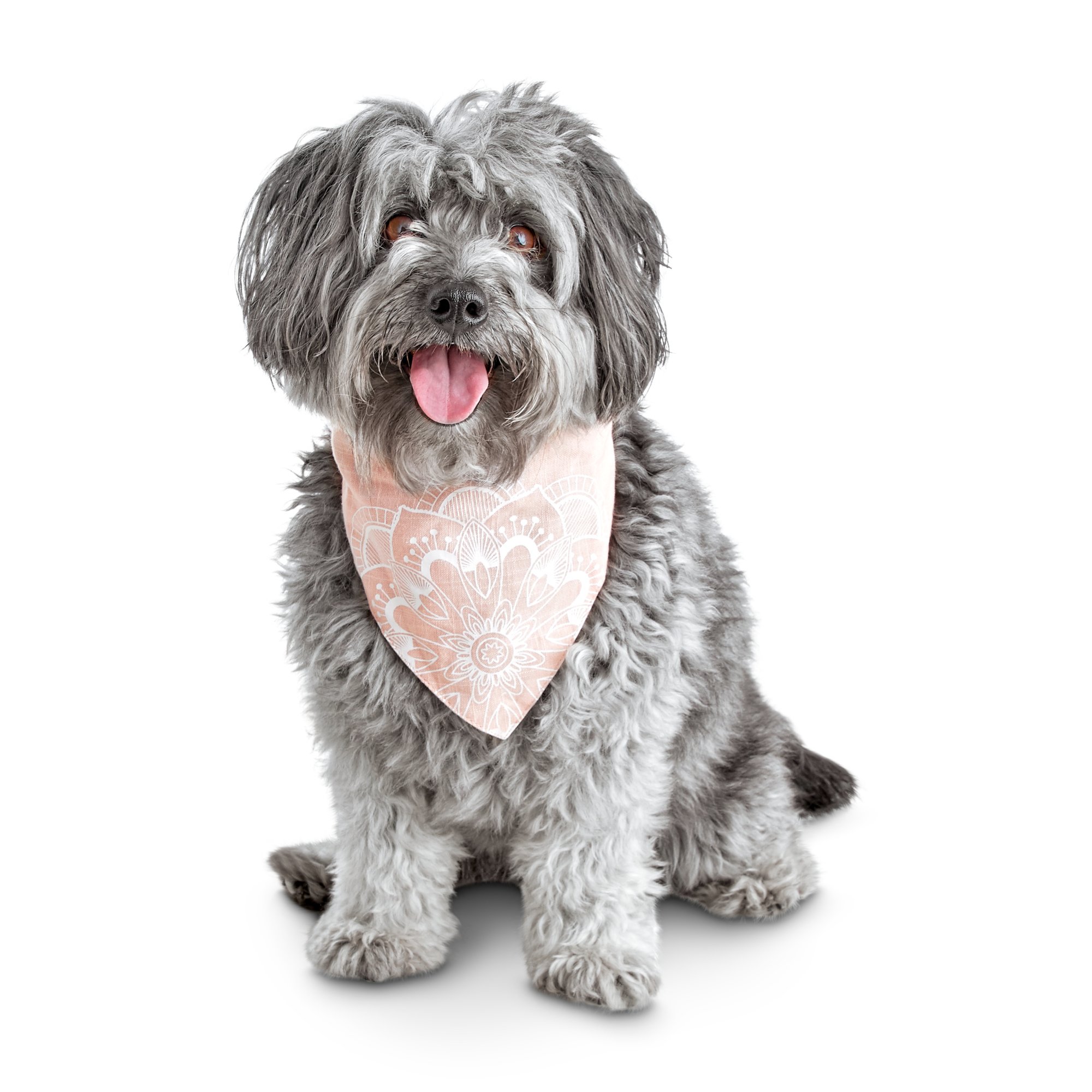 petco dog bandana