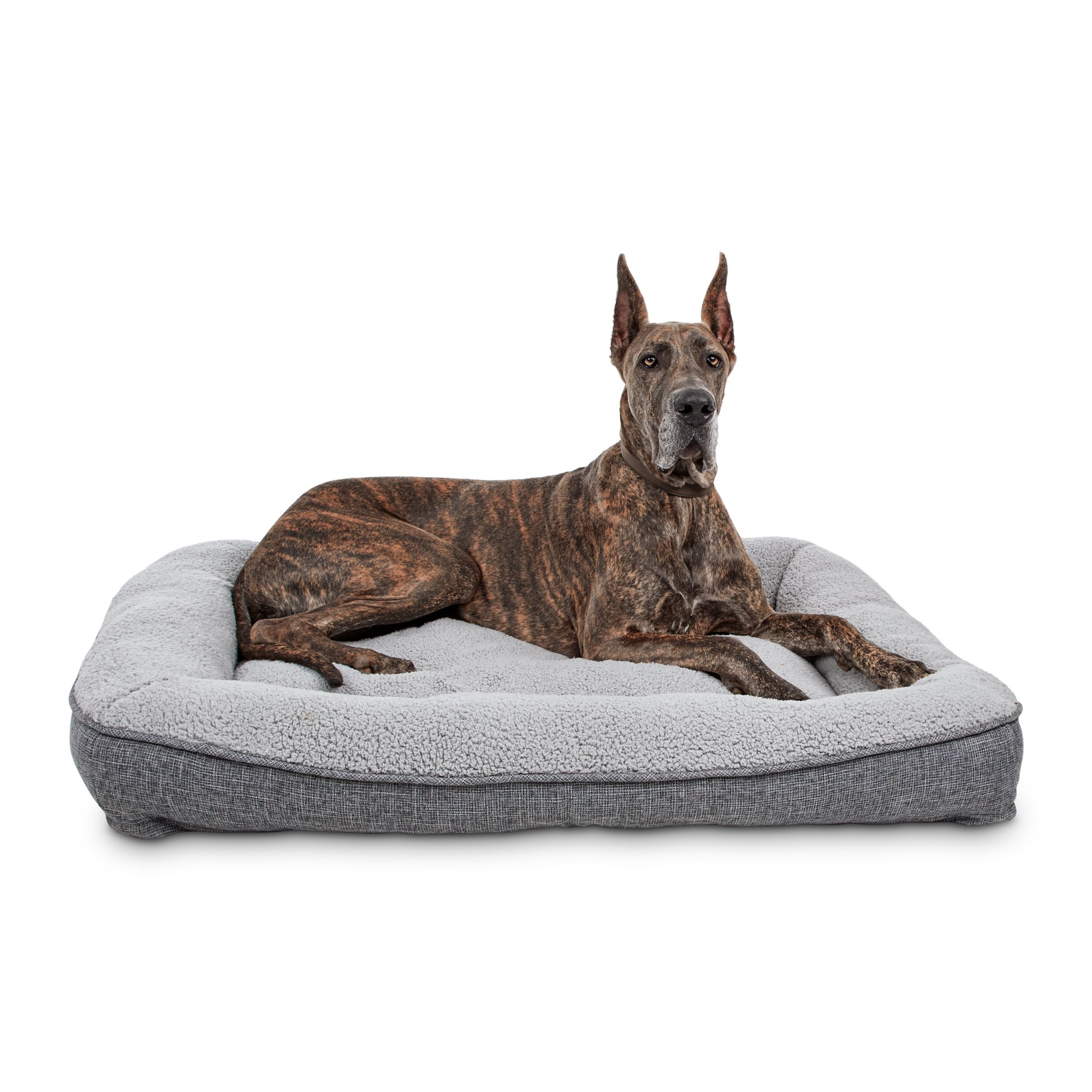 Tranquil Sleeper Memory Foam Dog Bed, 48" L x 36" W Petco