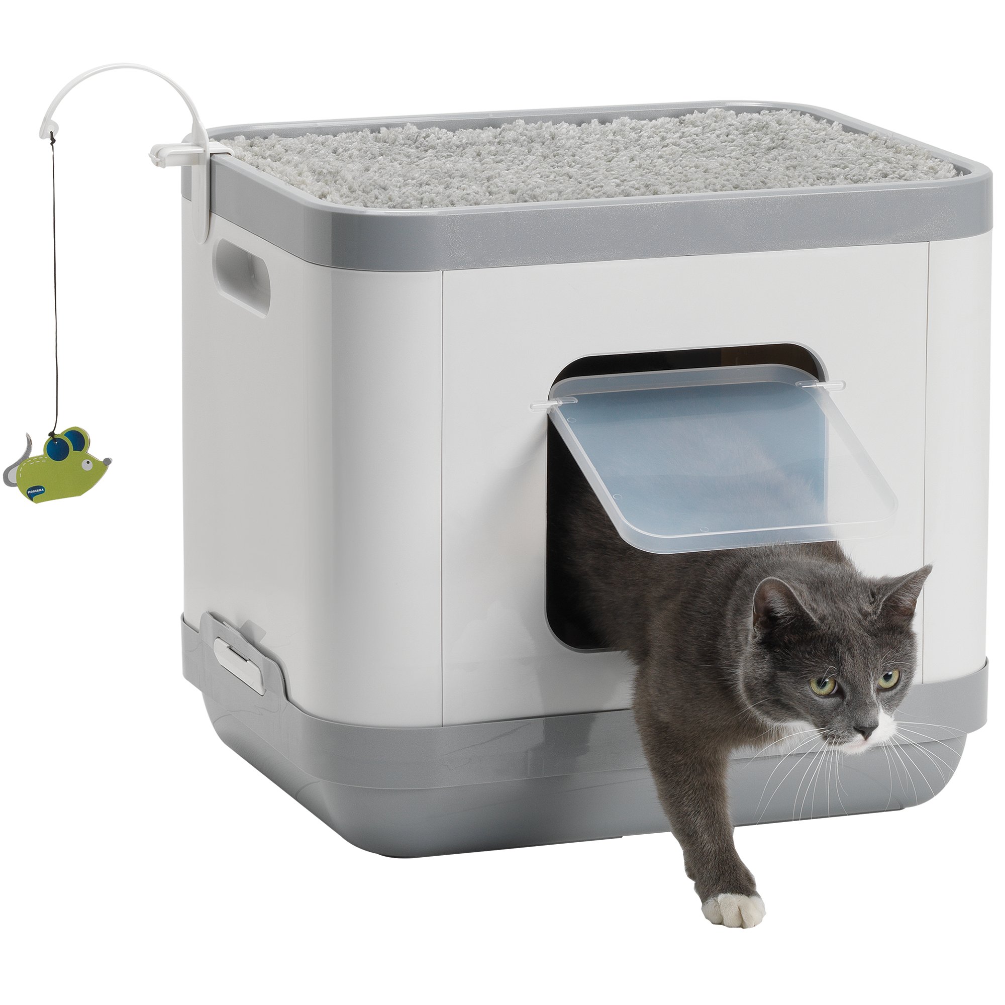 petco litter box