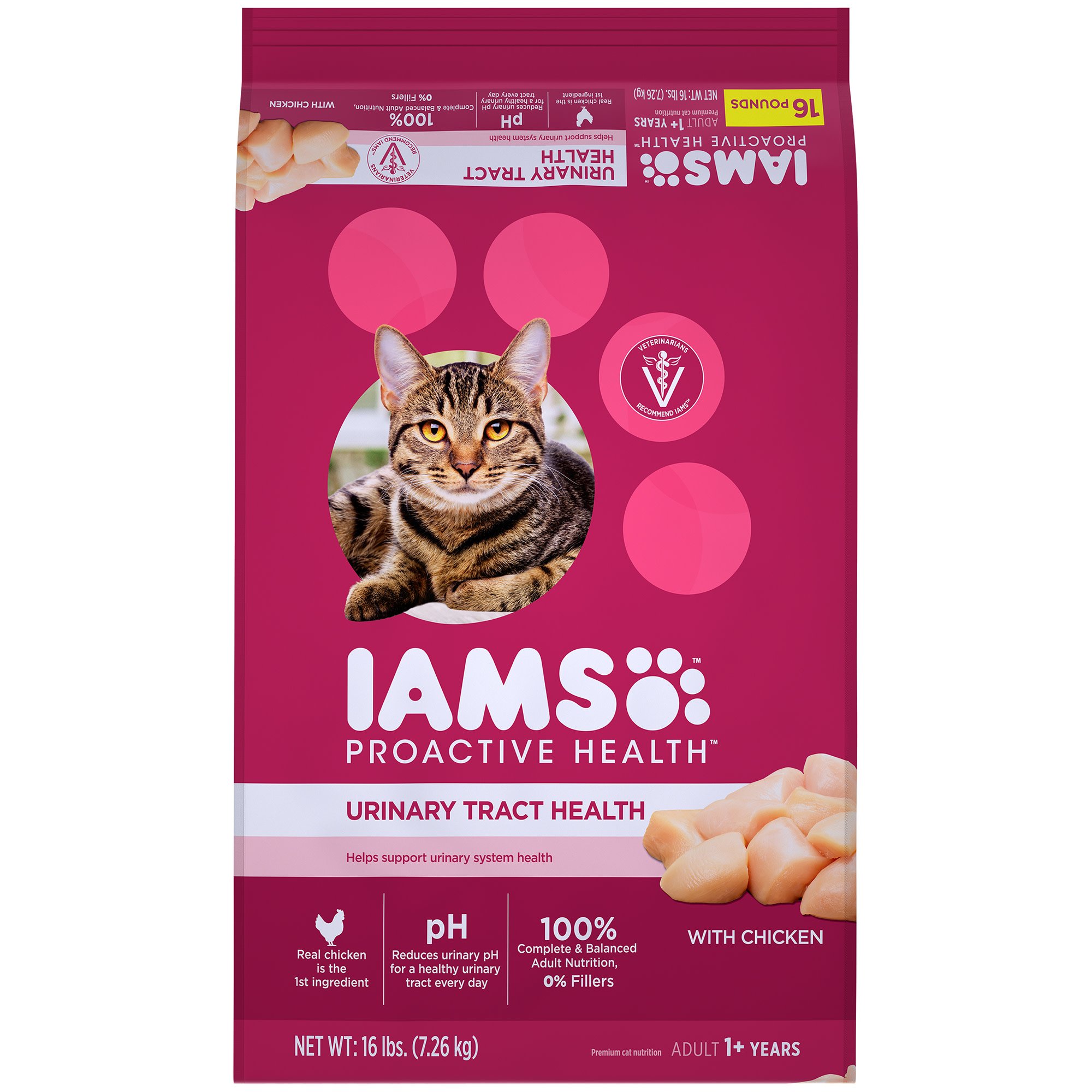 iams kitten dry