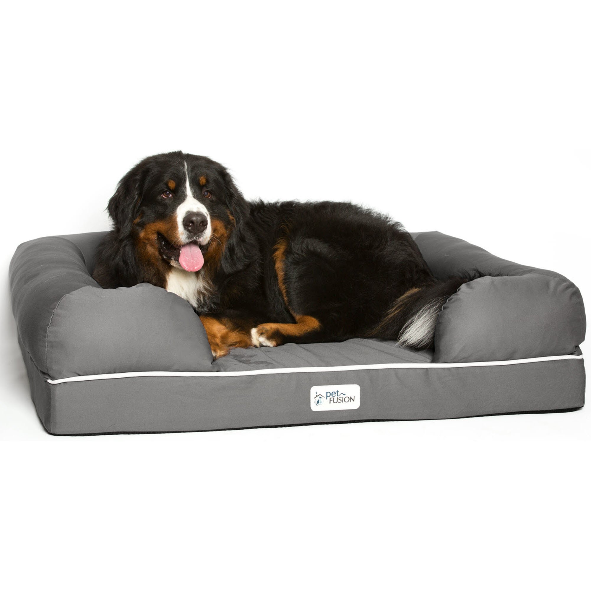 Petfusion Ultimate Solid 4" Memory Foam Dog Bed For X Large Dogs Pf-ibxl1