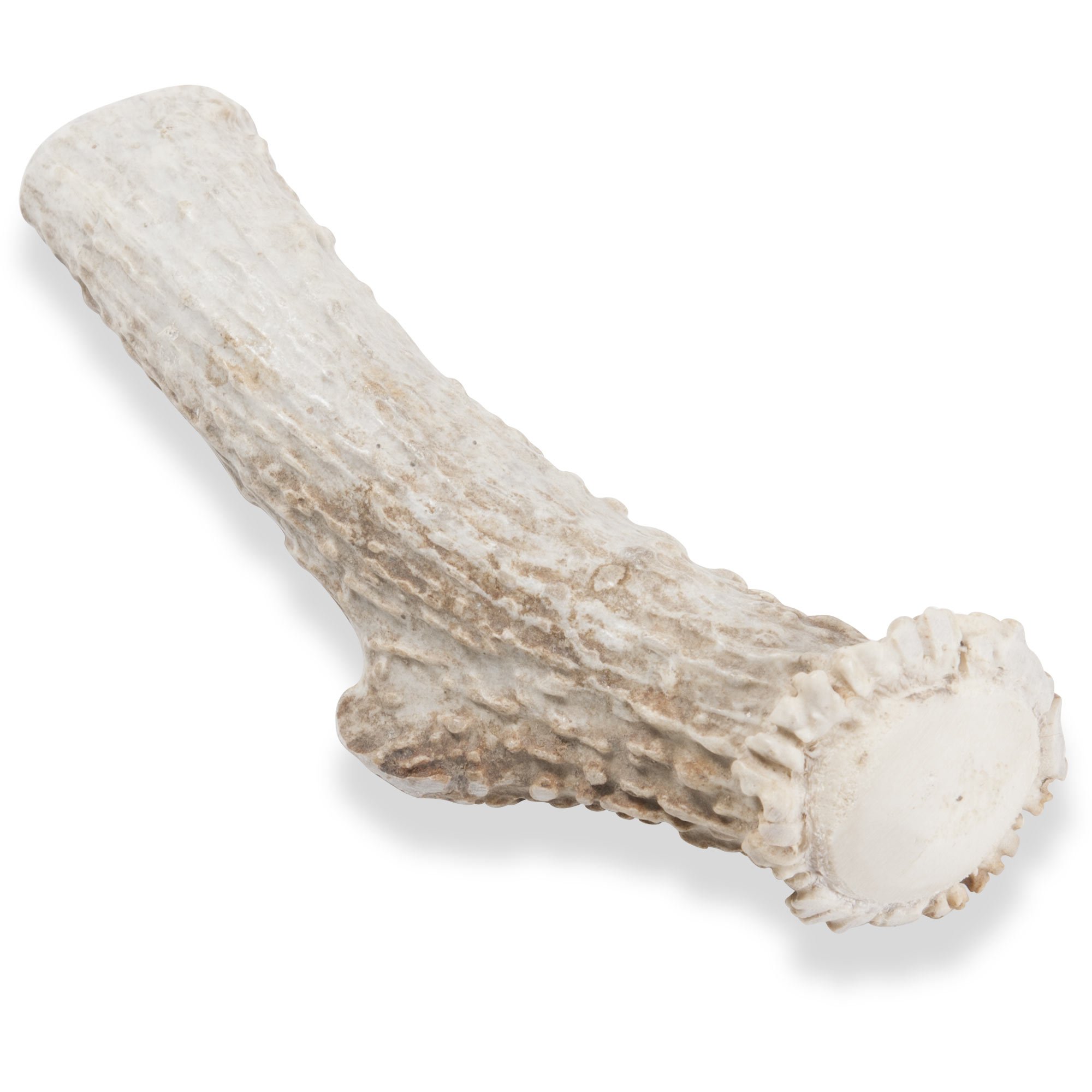 deer antler dog chew