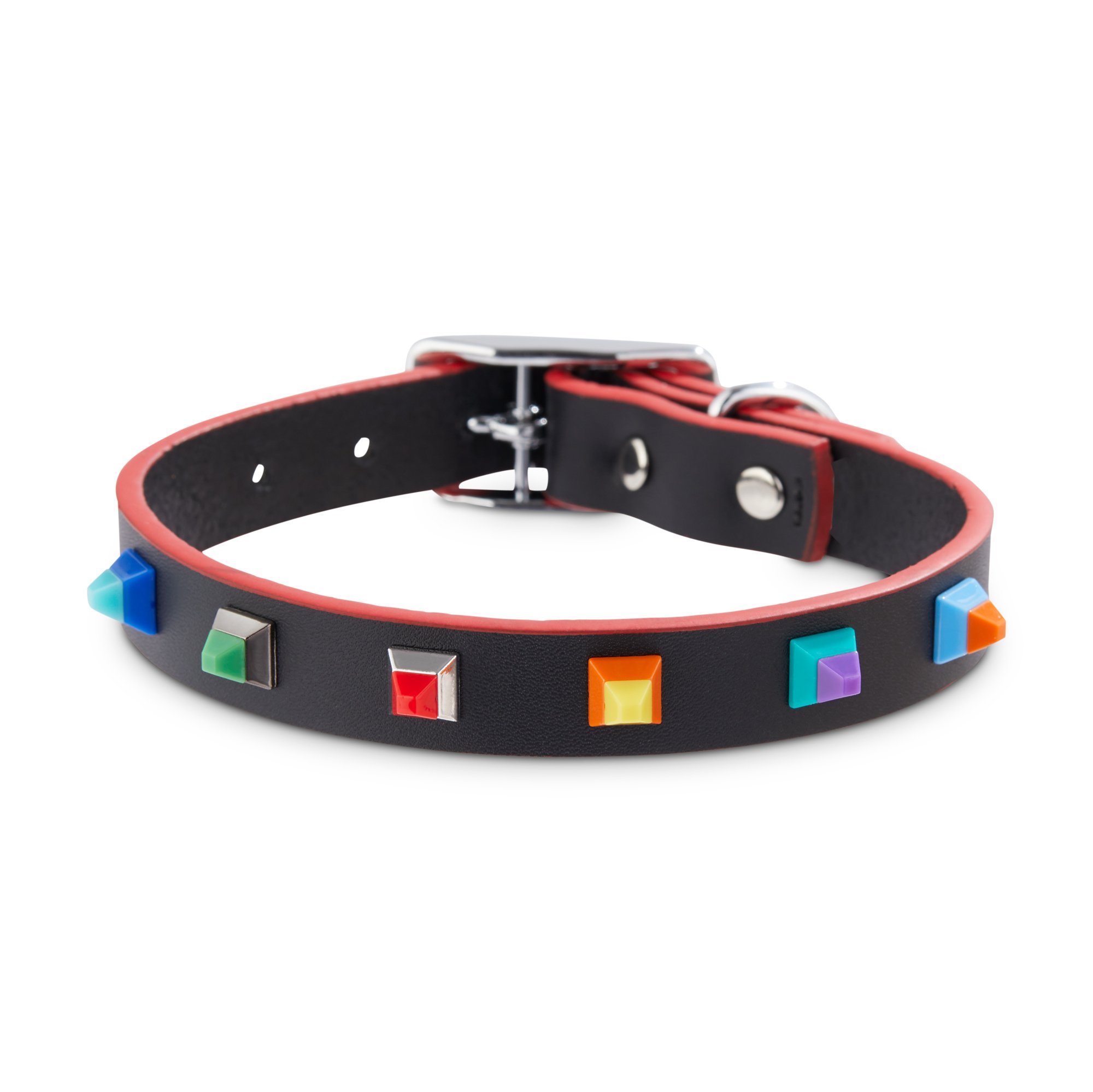 bond and co dog collar