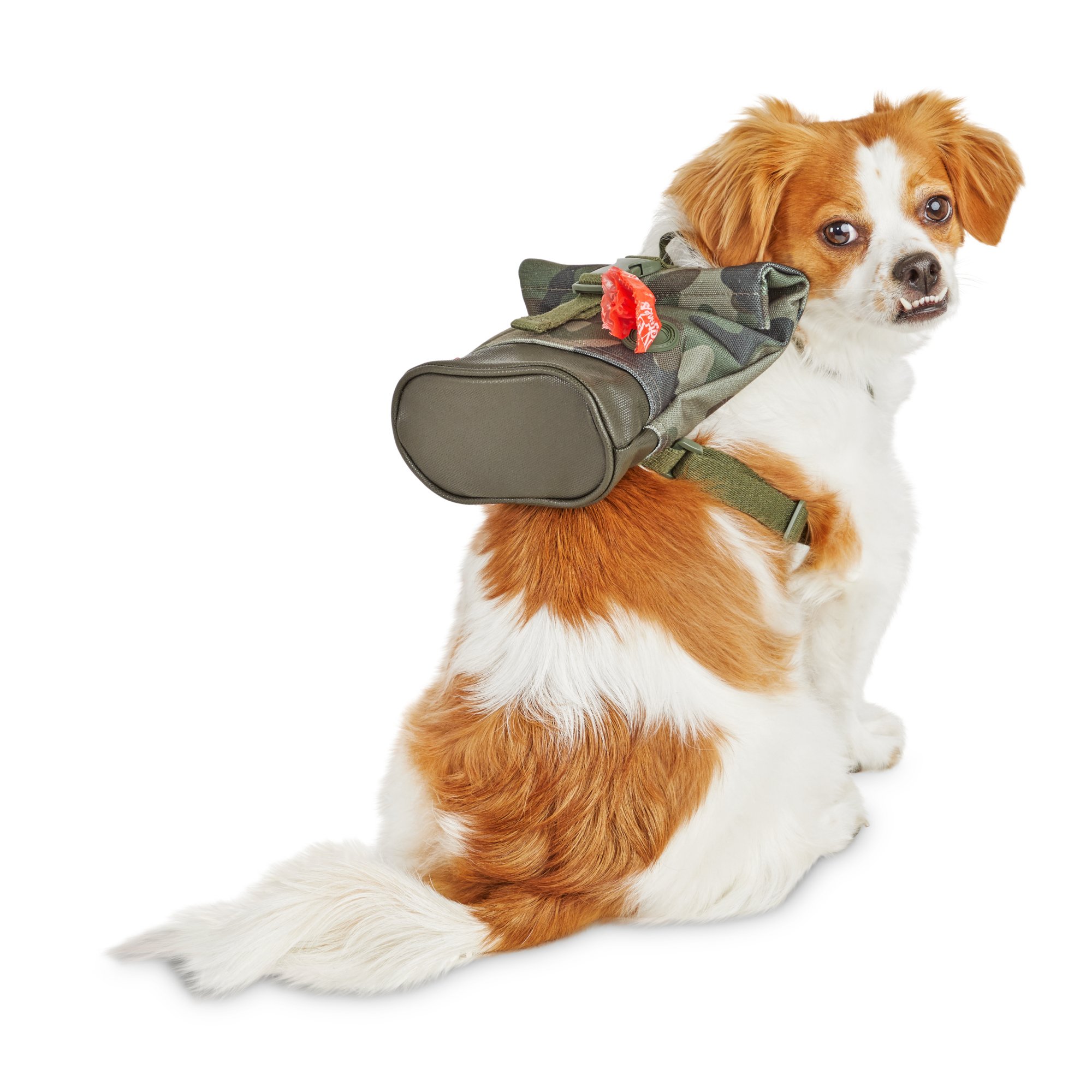 dog backpack leash