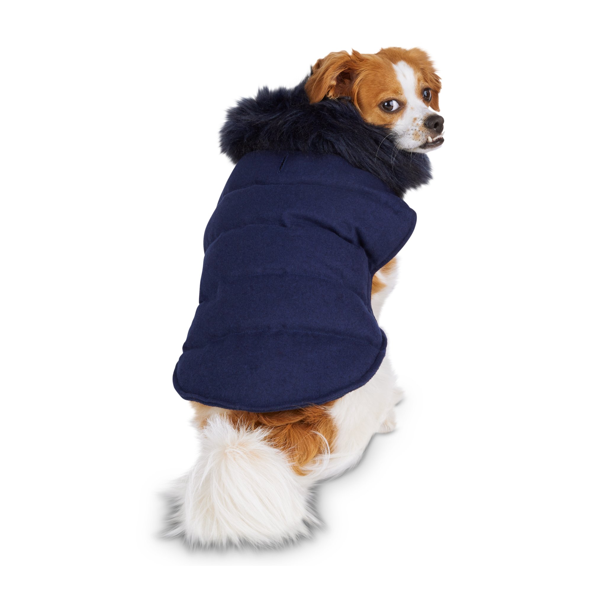 Modern Luxe Collection Slate Blue Dog Puffer Jacket Small Petco
