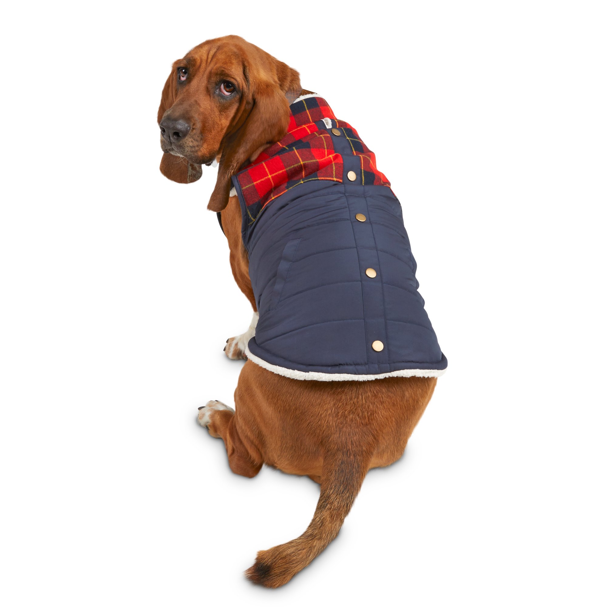 bond & co dog jacket